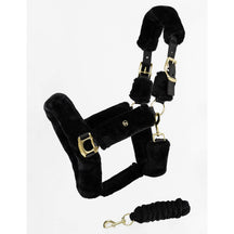 Black/Gold