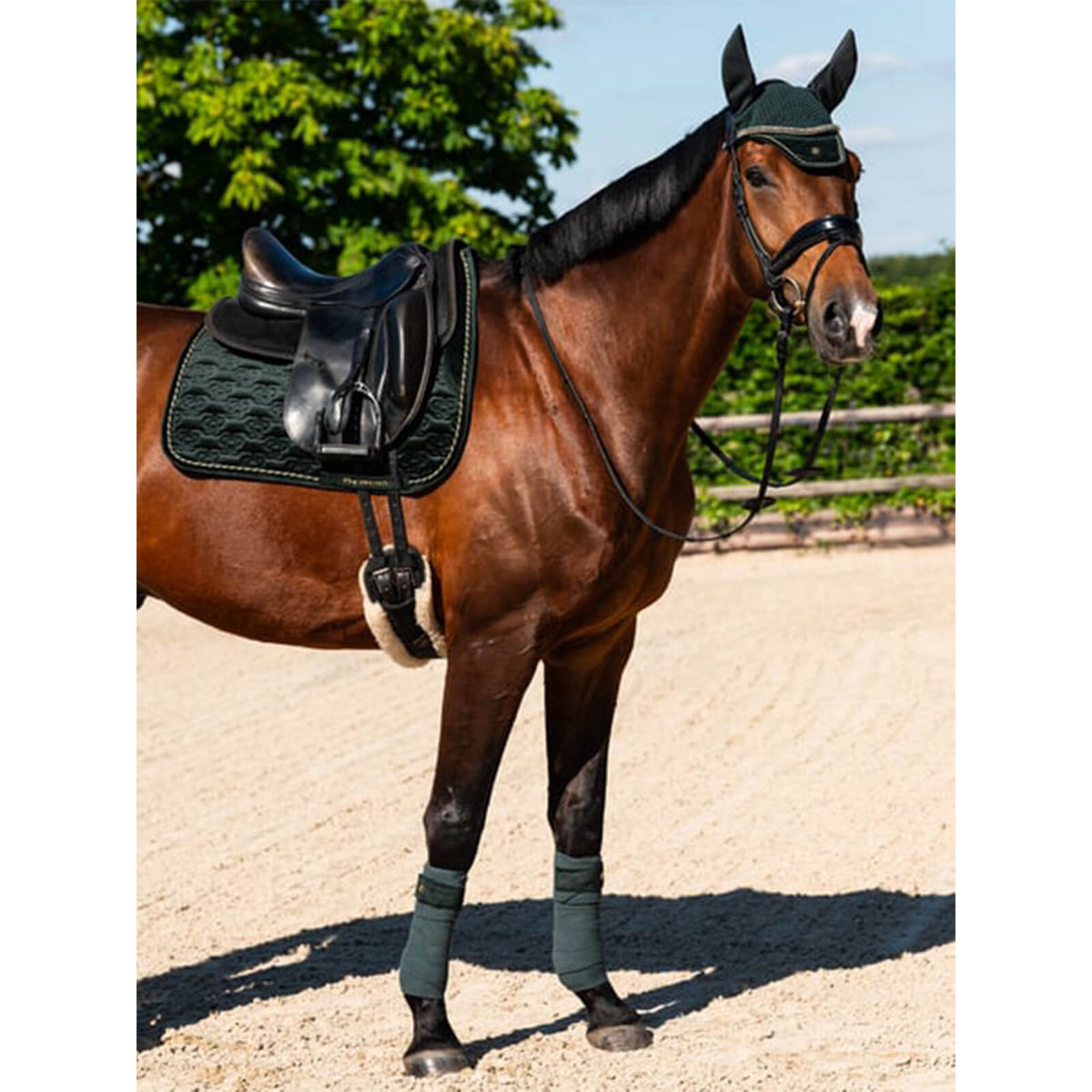 PS of Sweden Fliegenmütze Samt Monogram HW 2024 Fliegenhaube, Dunkelgrün, Pferd trägt das Produkt.