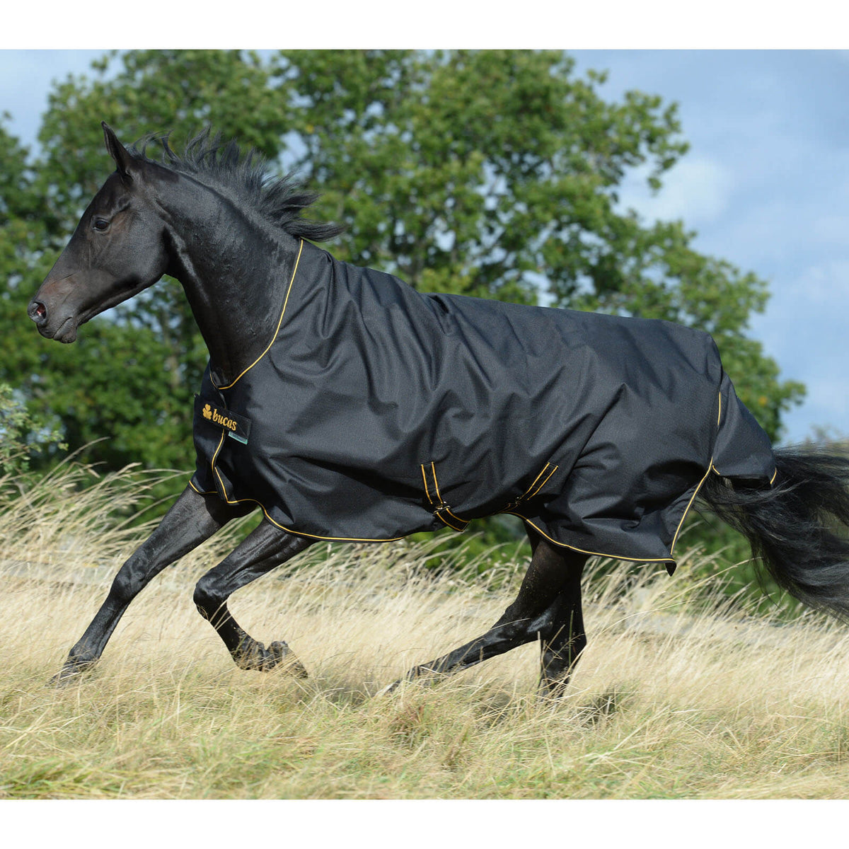 Outdoordecke 300g Irish Turnout High Neck Weidedecke
