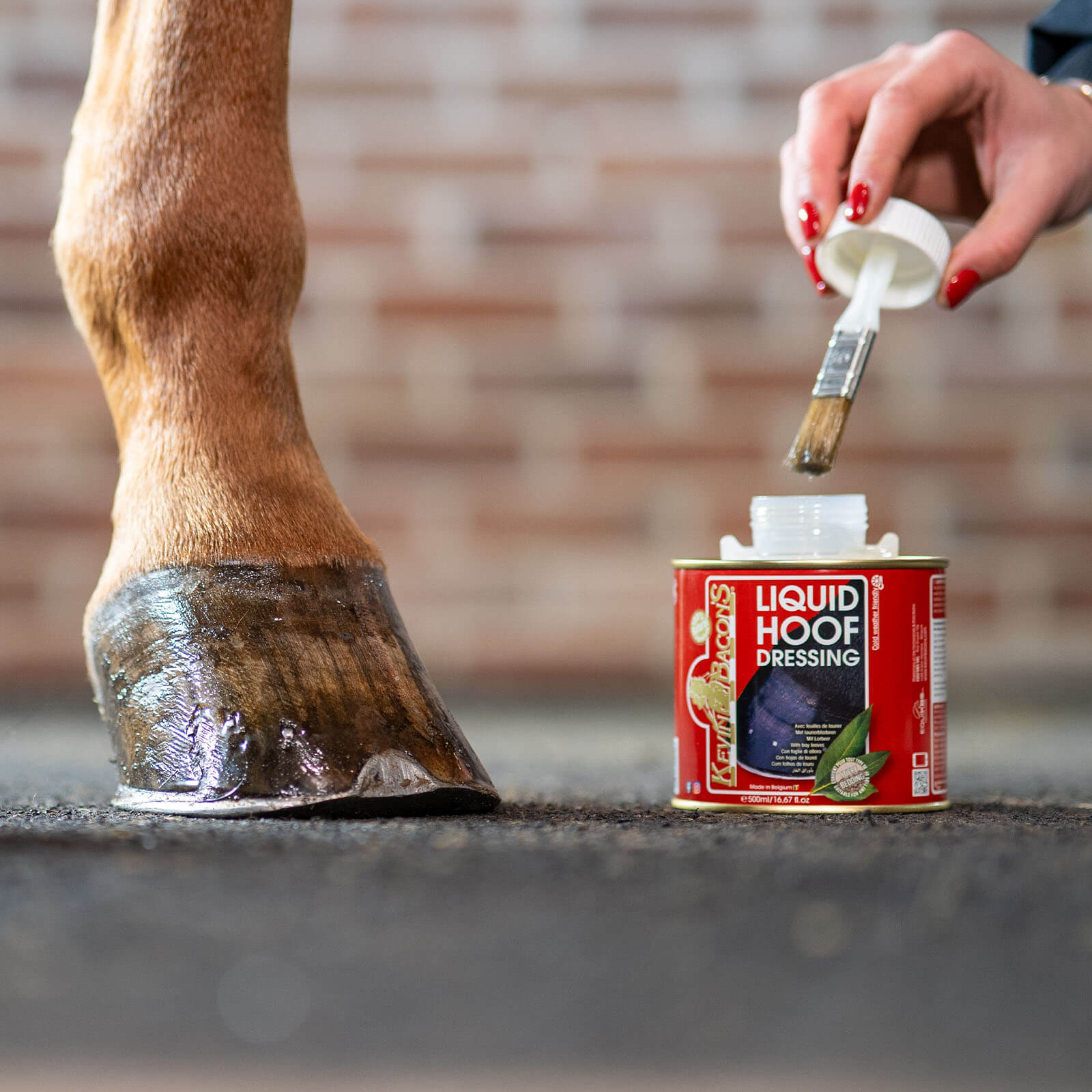 Hufpflege Liquid Hoofdressing