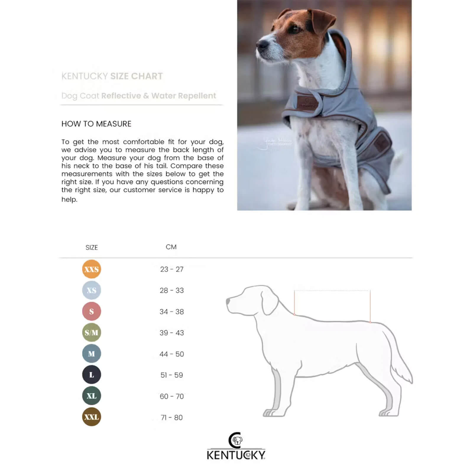 Hundemantel Reflective & Water Repellent 150g Wintermantel wasserabweisend