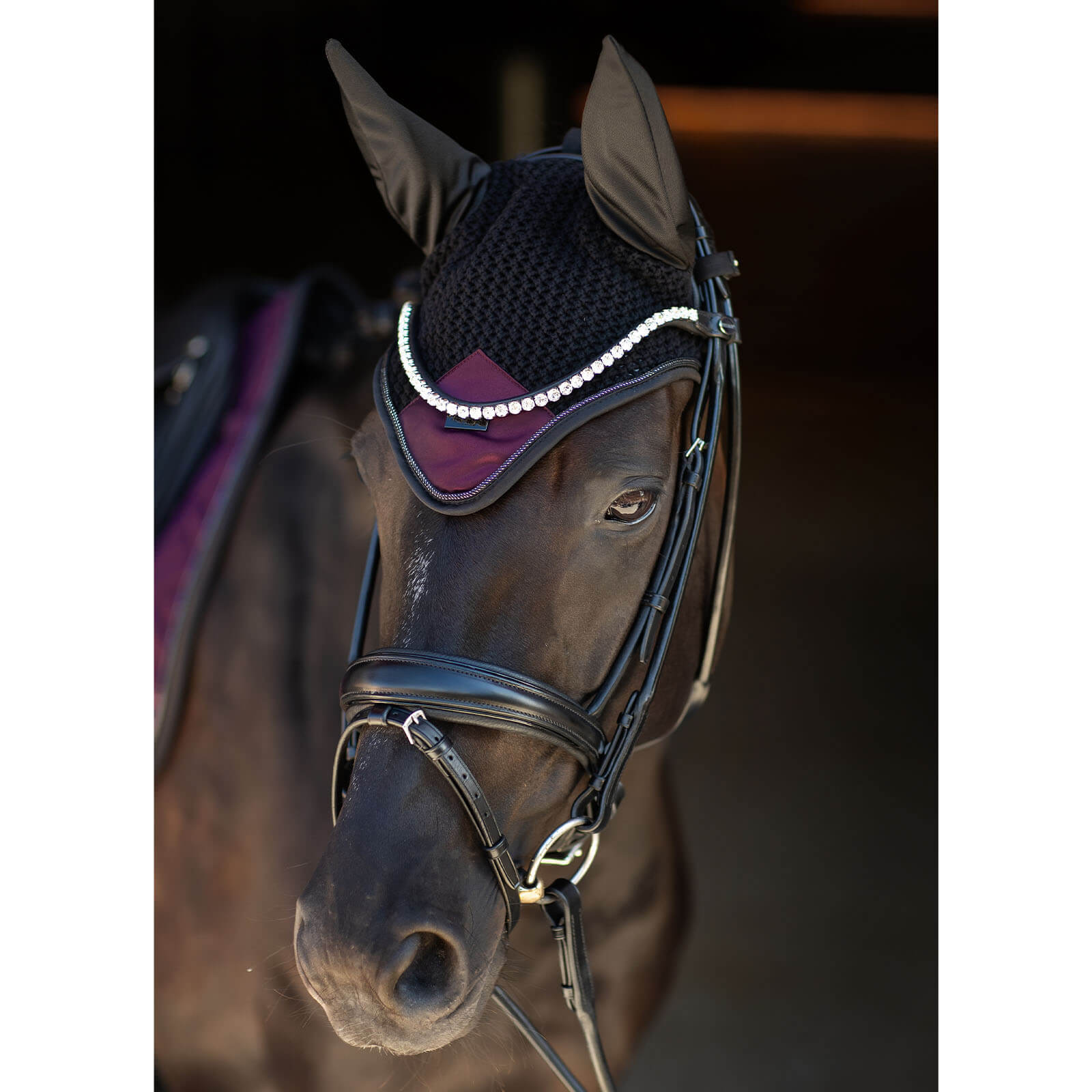 Fliegenmütze Ear Bonnet Modern Purple Night Fliegenohren