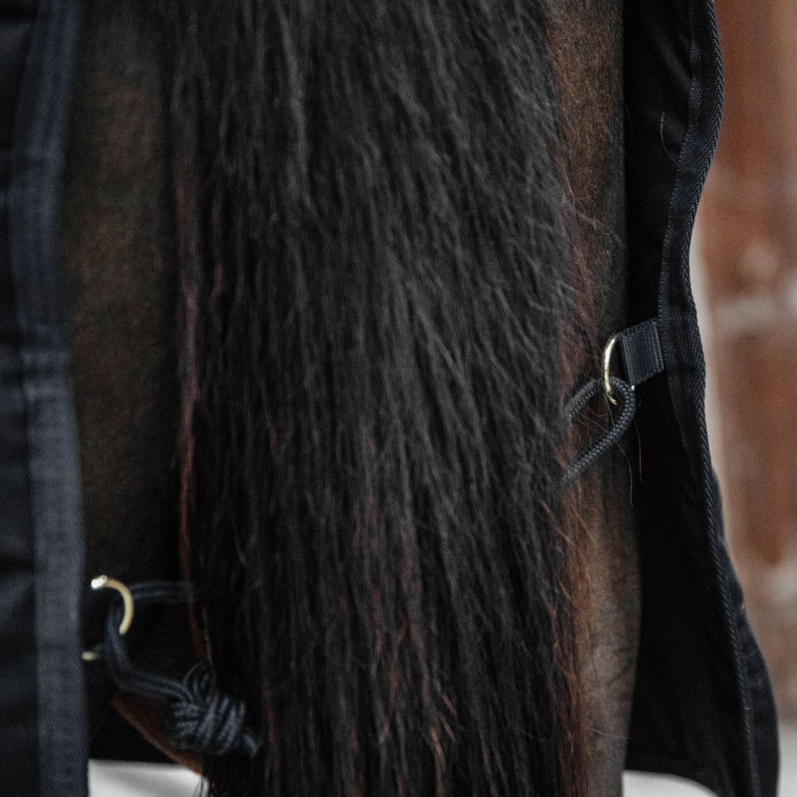 Stalldecke 200g Classic Übergangsdecke