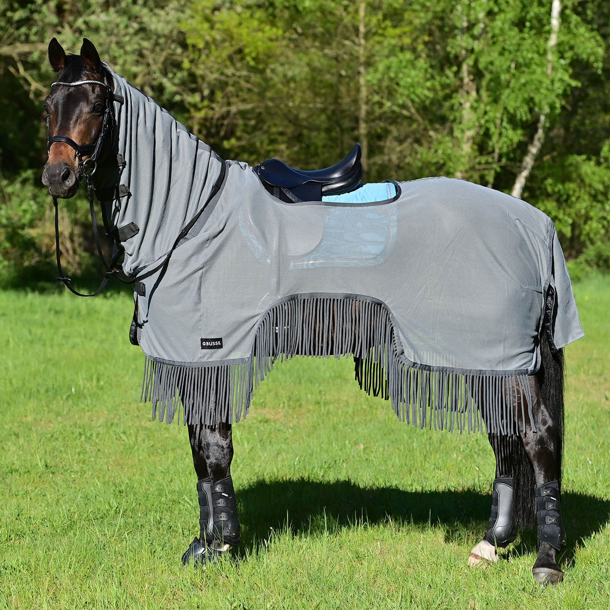 Ausreitdecke Moskito-Fransen III Trainingsdecke