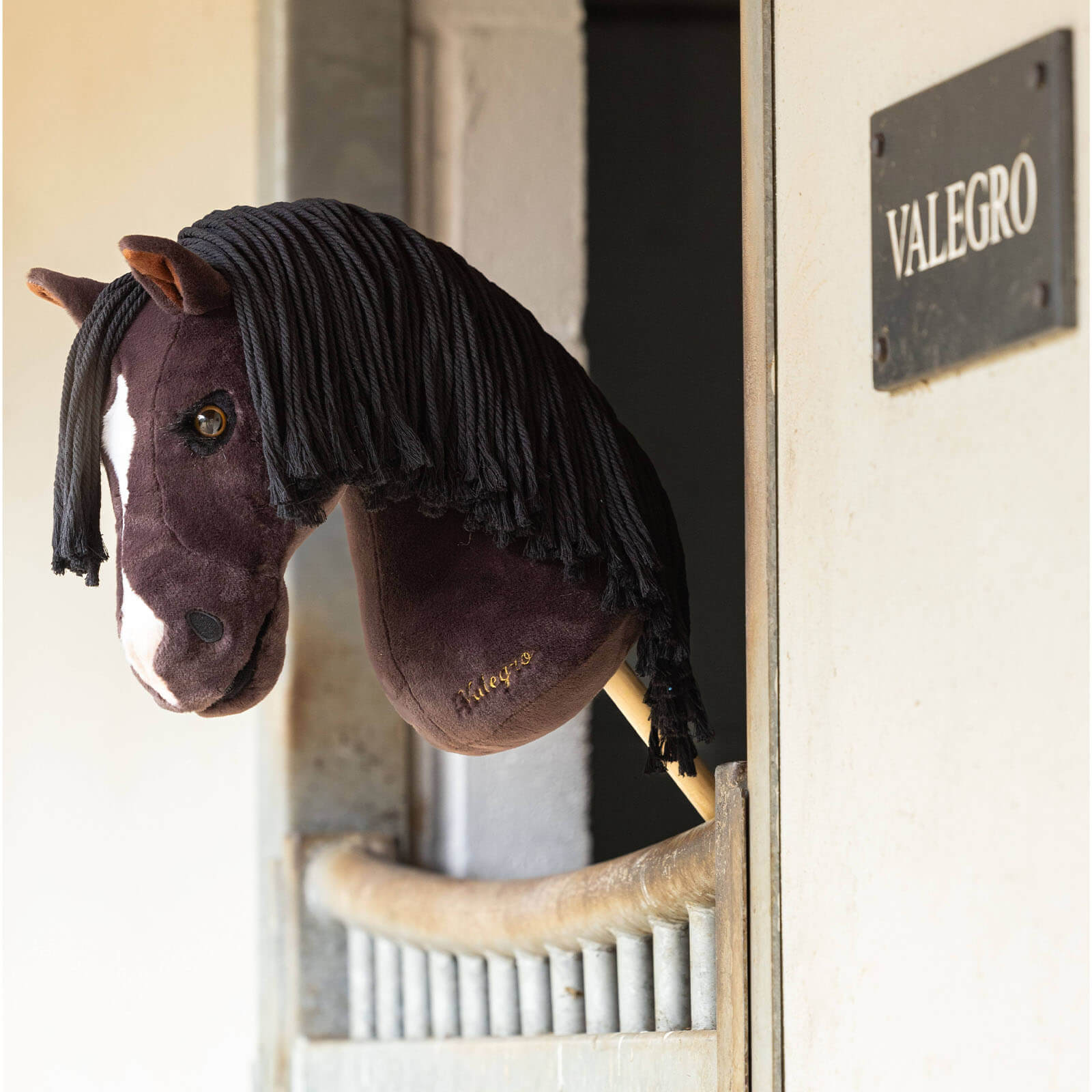 Hobby Horse Steckenpferd