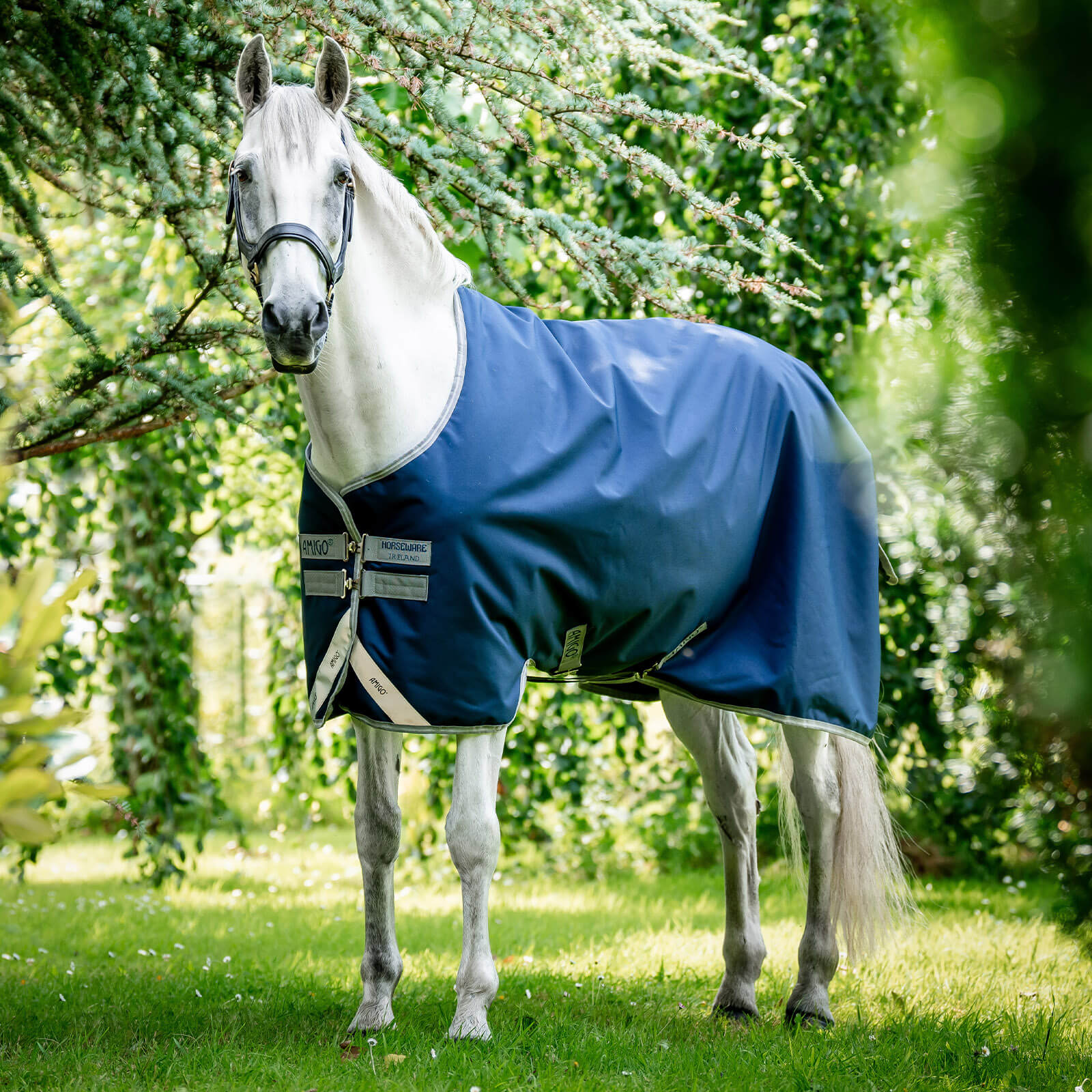 Outdoordecke 50g Amigo Bravo 12 Turn Out Weidedecke