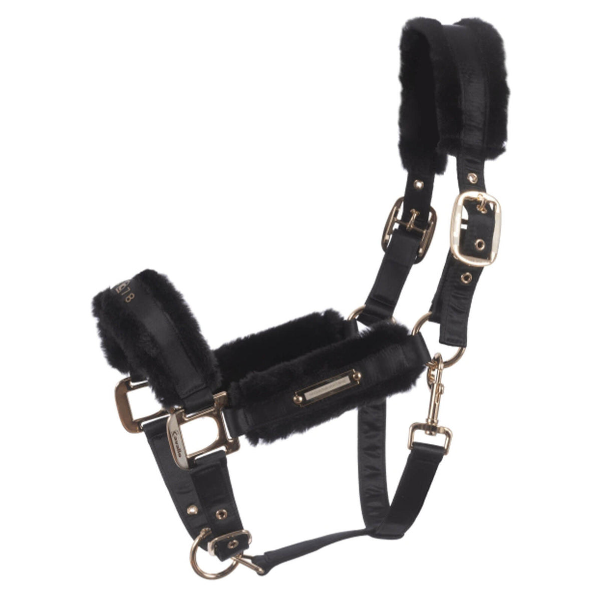 Halfter CAVALLUCILE Capsule HW 2023 Fellhalfter