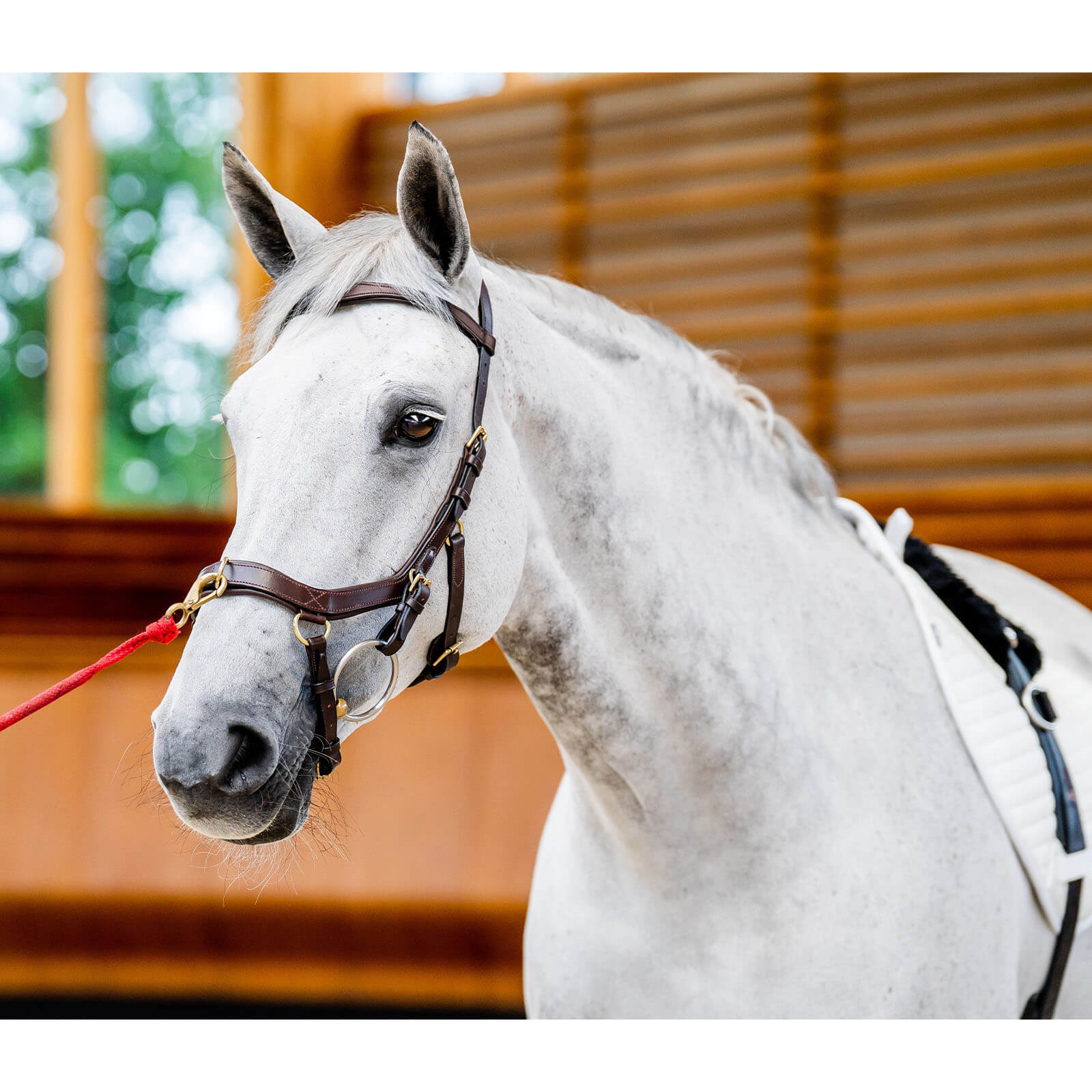 Trense Micklem 2 Multi Bridle Micklemtrense