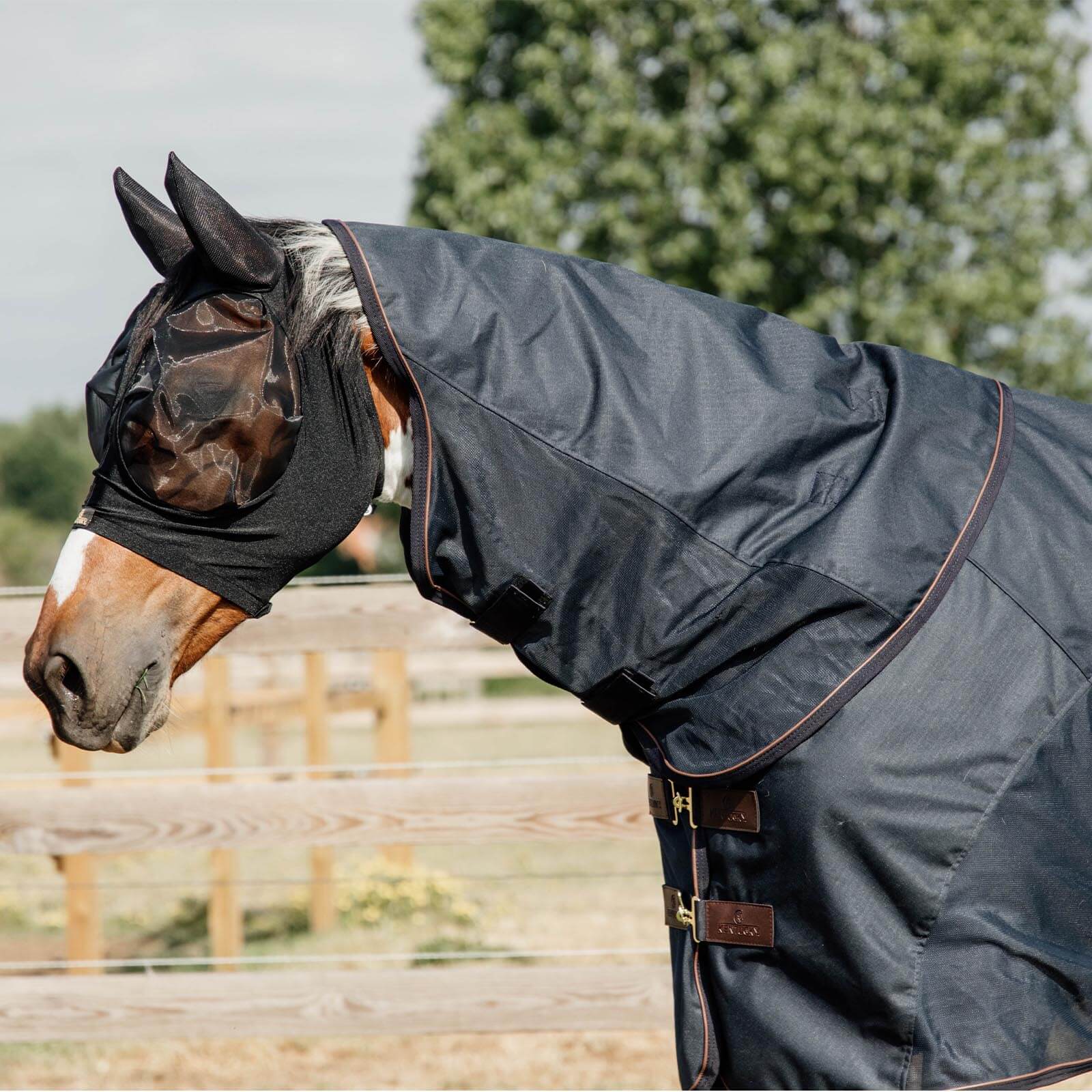Fliegendecke Regendecke Waterproof Combo Classic