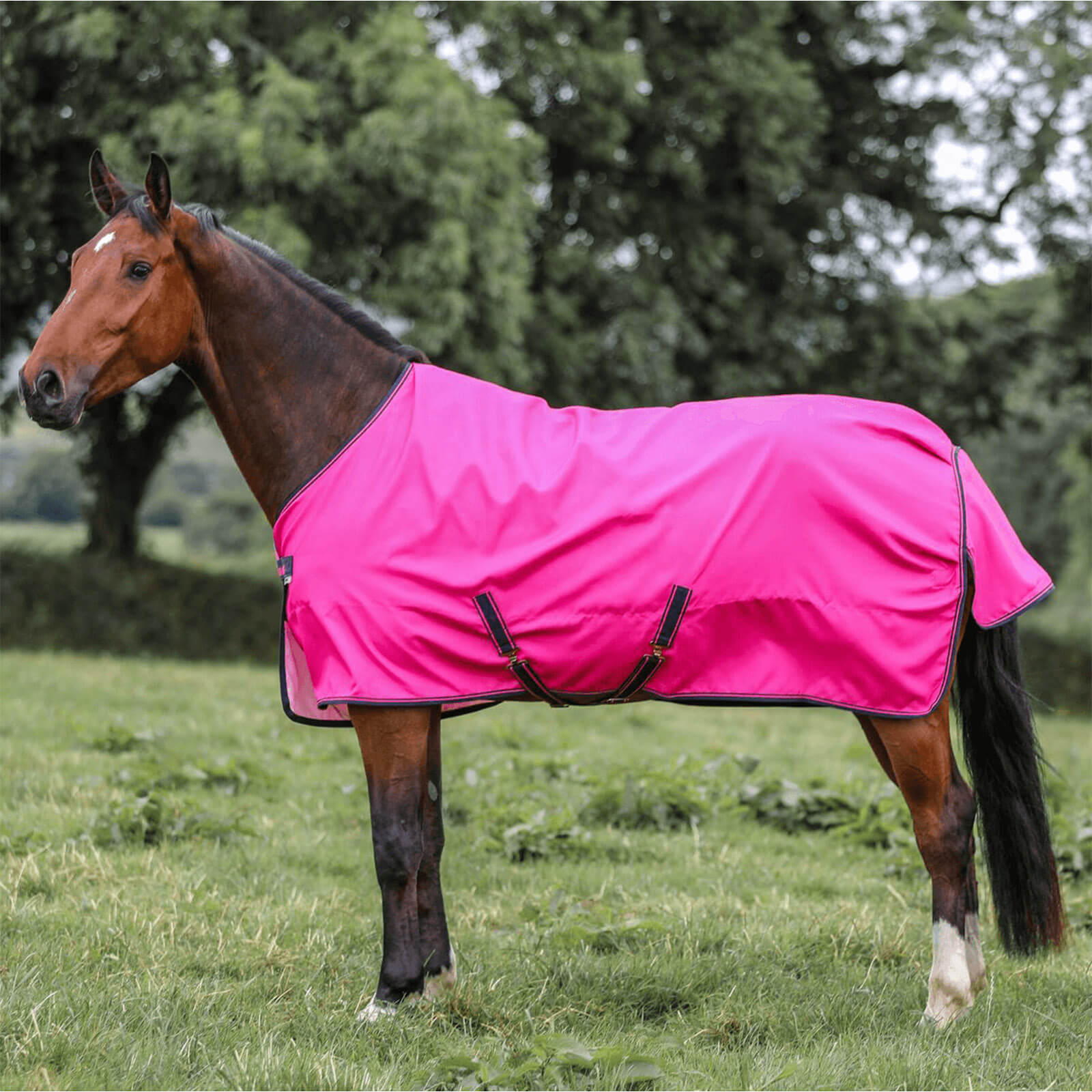 Outdoordecke 0g Freedom Turnout Light Regendecke