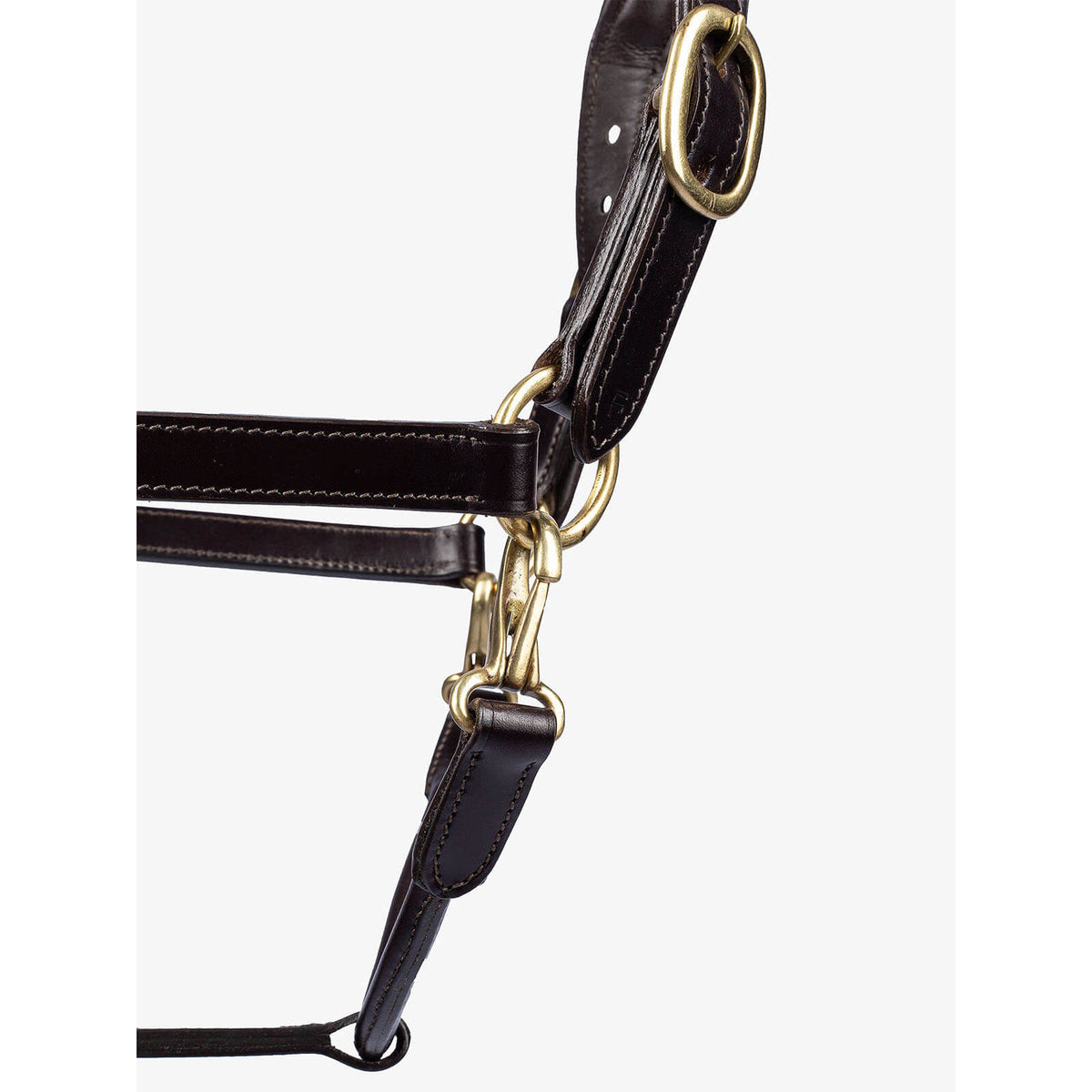 Halfter Leather Lederhalfter, dunkelbraun, Detailaufnahme mit Beschlägen auf weißem Hintergrund.