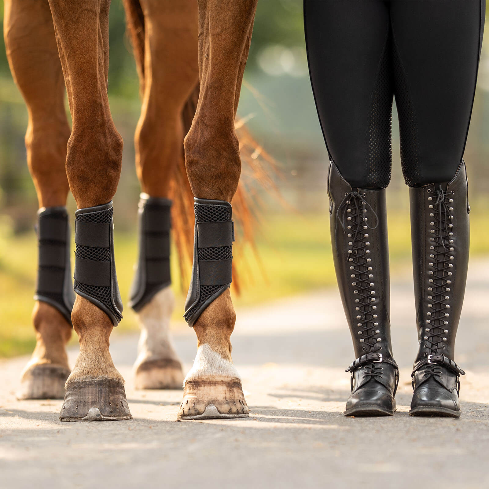 Sporenriemen Laval Leder Spur straps