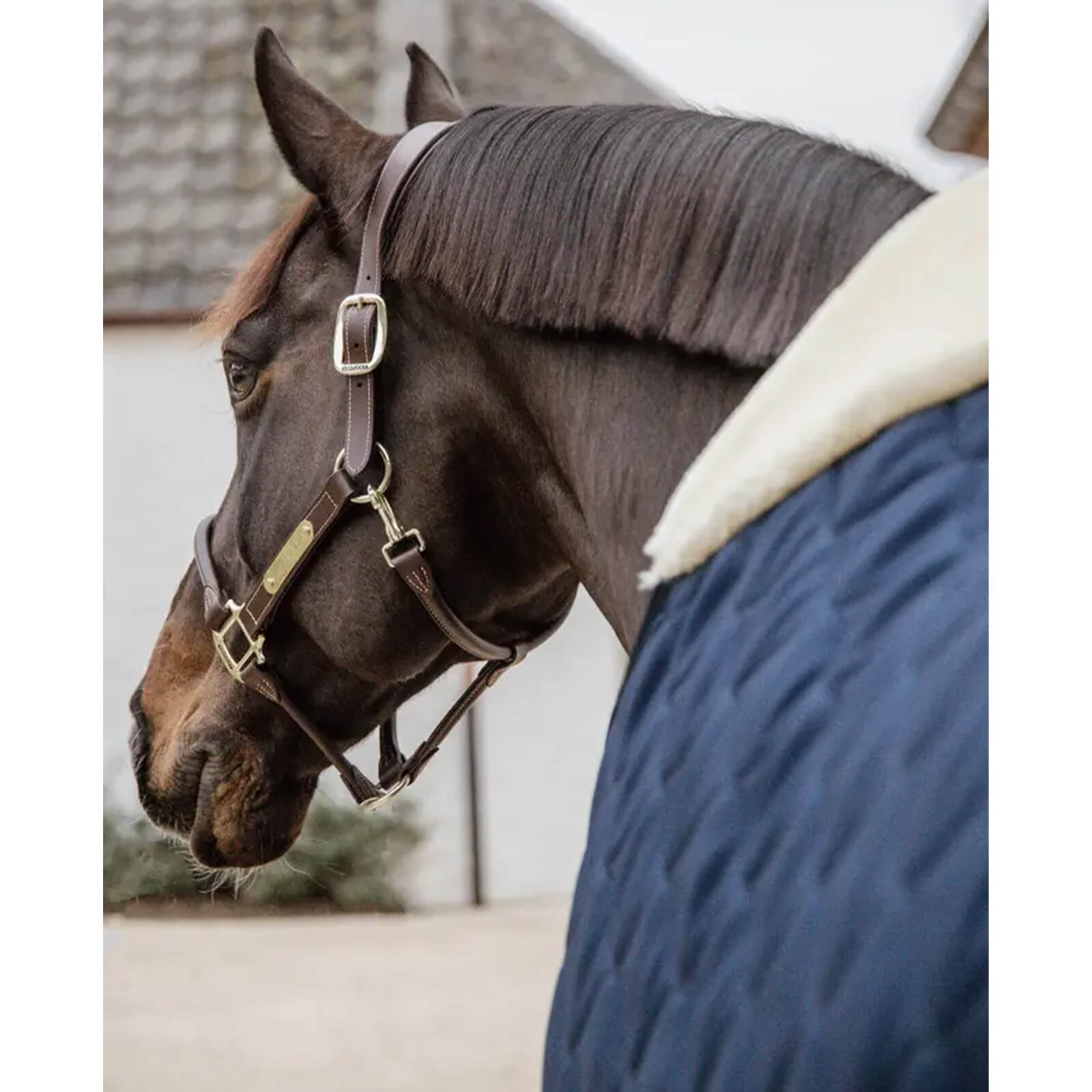Stalldecke 100g Comfort Winterdecke
