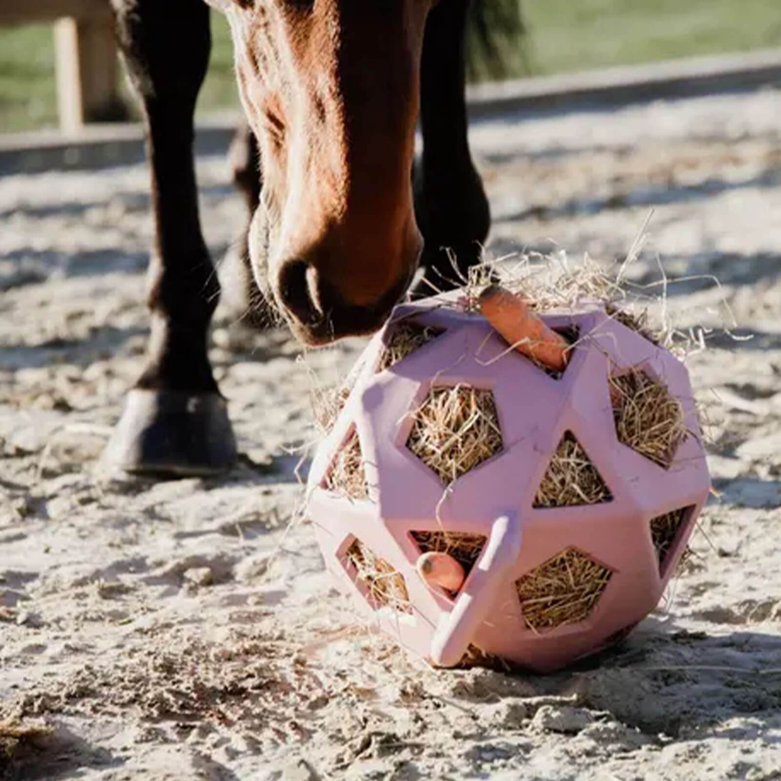 Futterball Spielzeug Relax Horse Spielball & Heuball