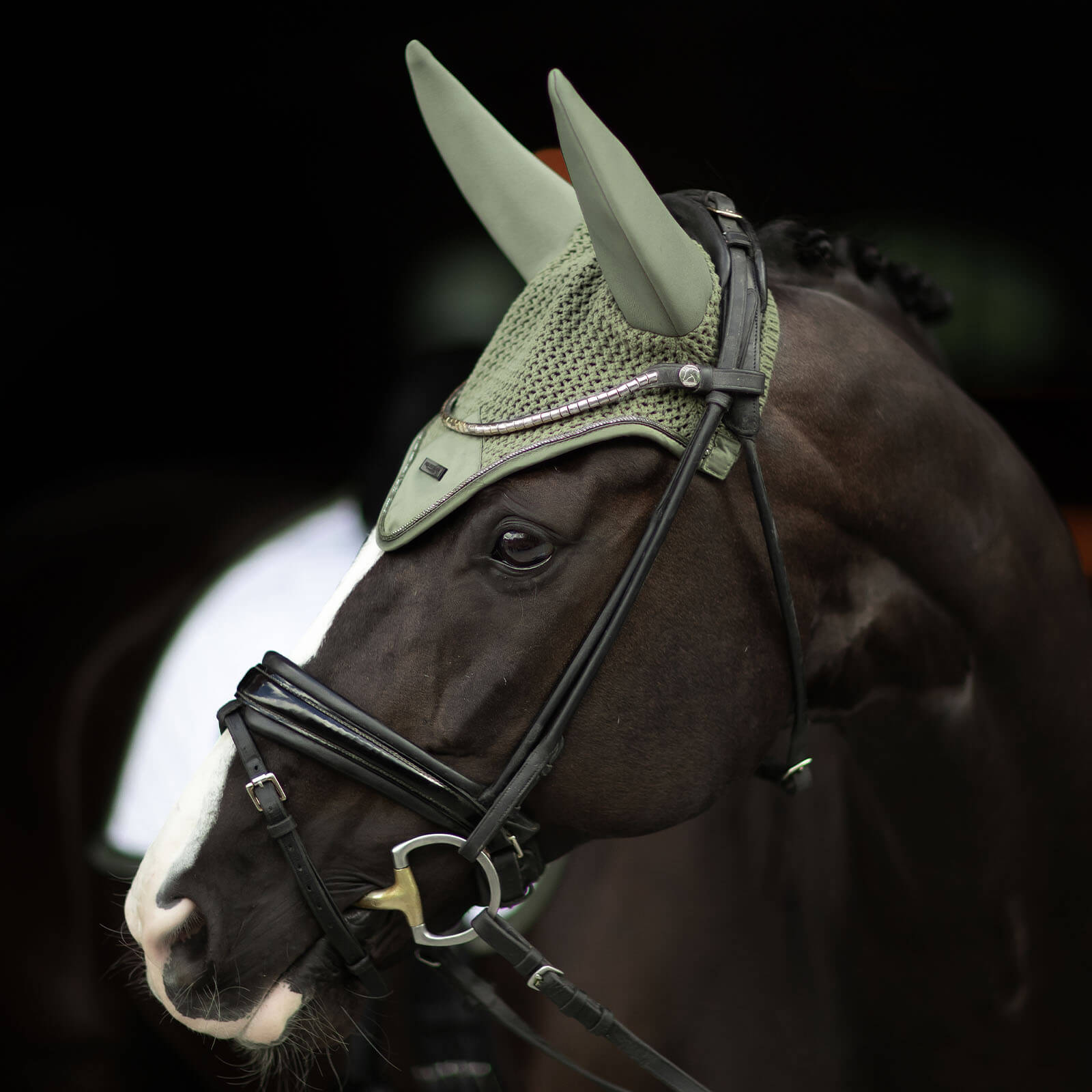 Fliegenmütze Padded Modern Striking Valley Fliegenhaube