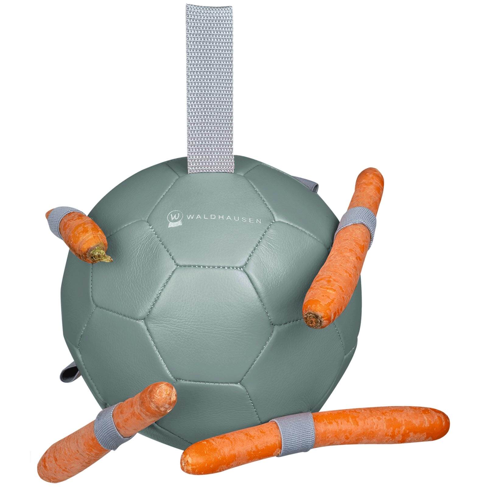 Karottenball Spielball