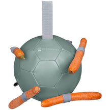 Mistel