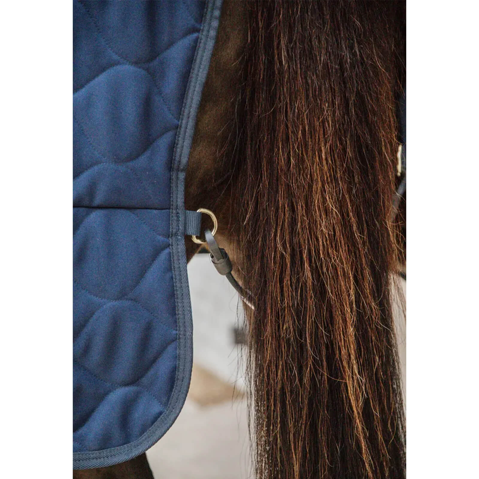 Stalldecke 200g Comfort Winterdecke