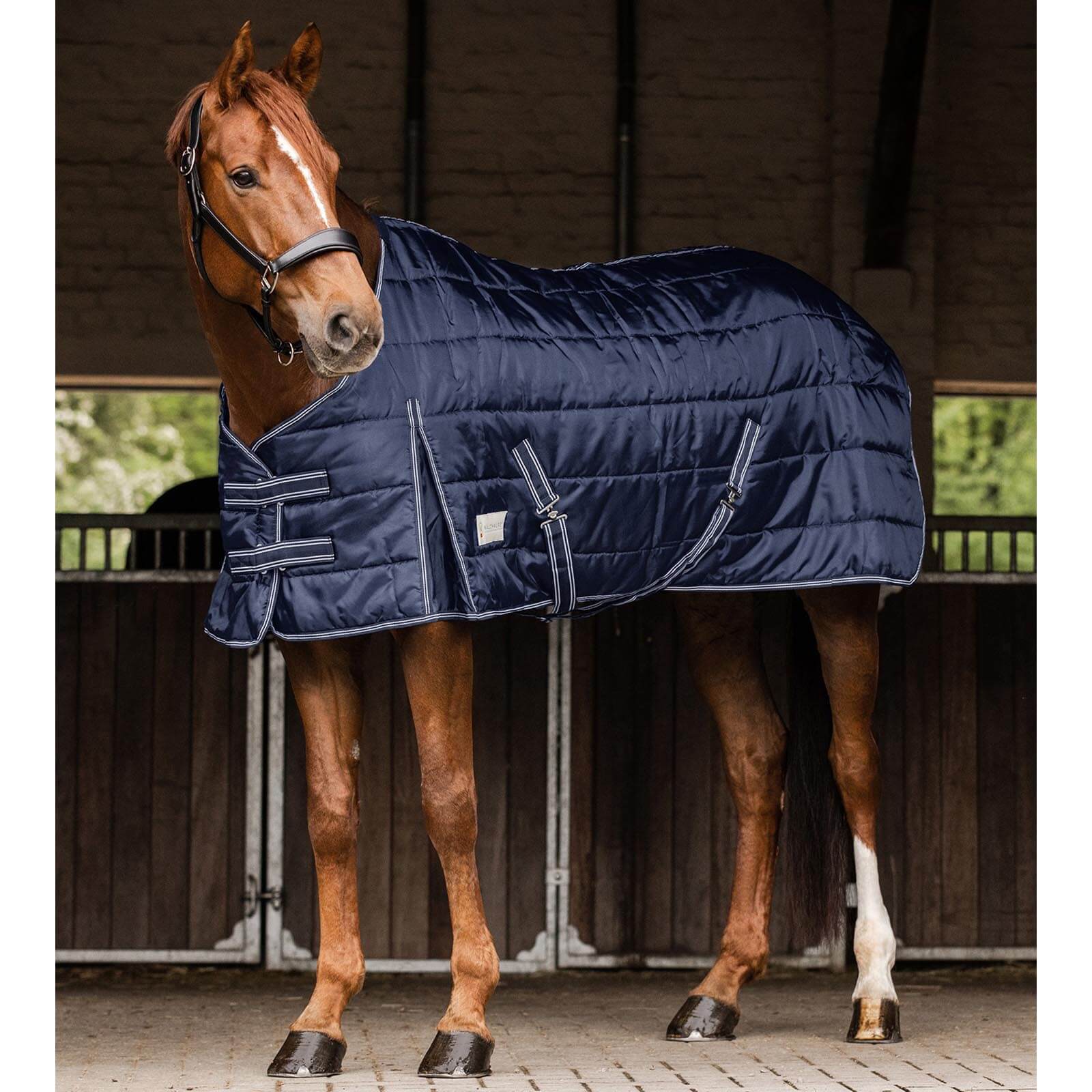 Stalldecke 100g Economic