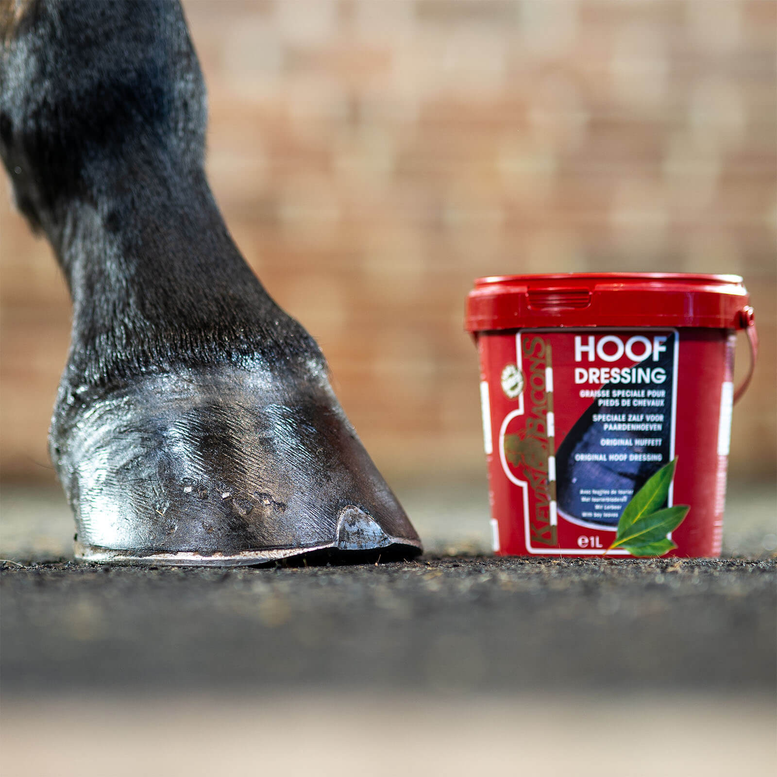 Hufpflege Hoofdressing Lorbeersalbe