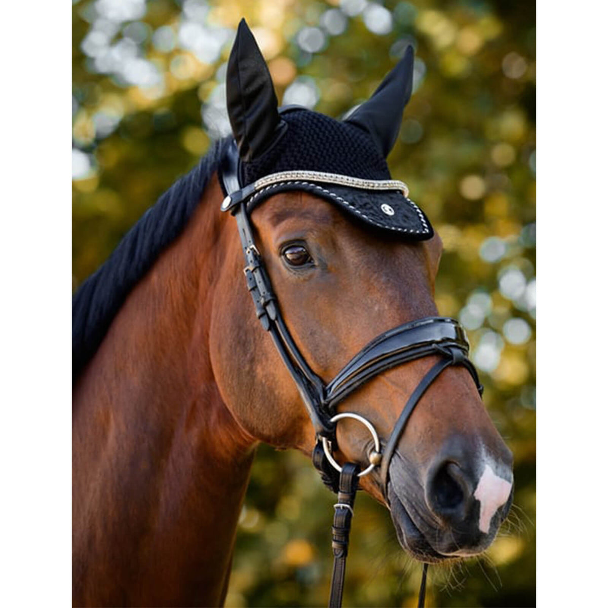 Fliegenmütze Samt Monogram HW 2024 Fliegenhaube, Schwarz, am Pferd getragen.