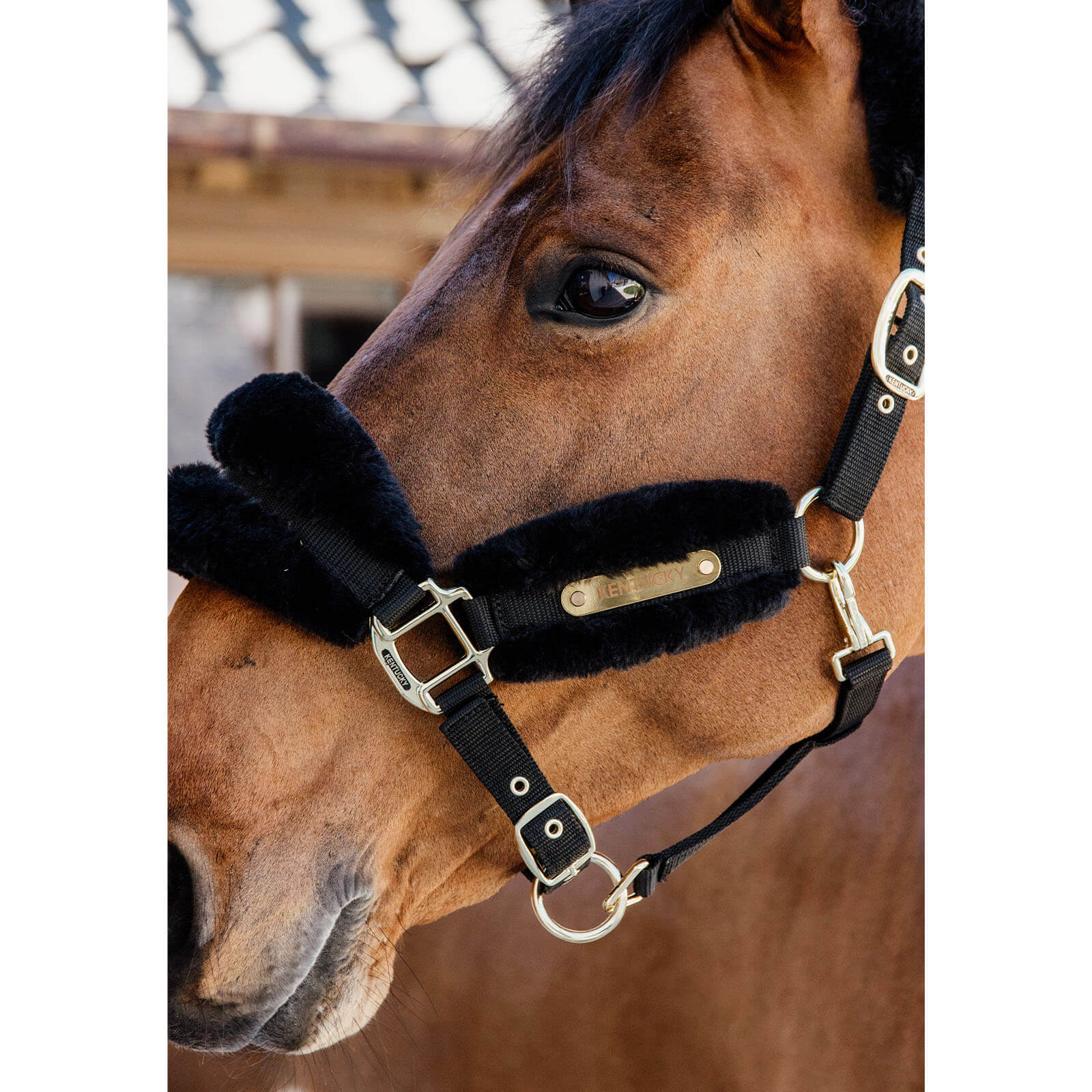 Nylonhalfter mit Lammfell Soft Stallhalfter