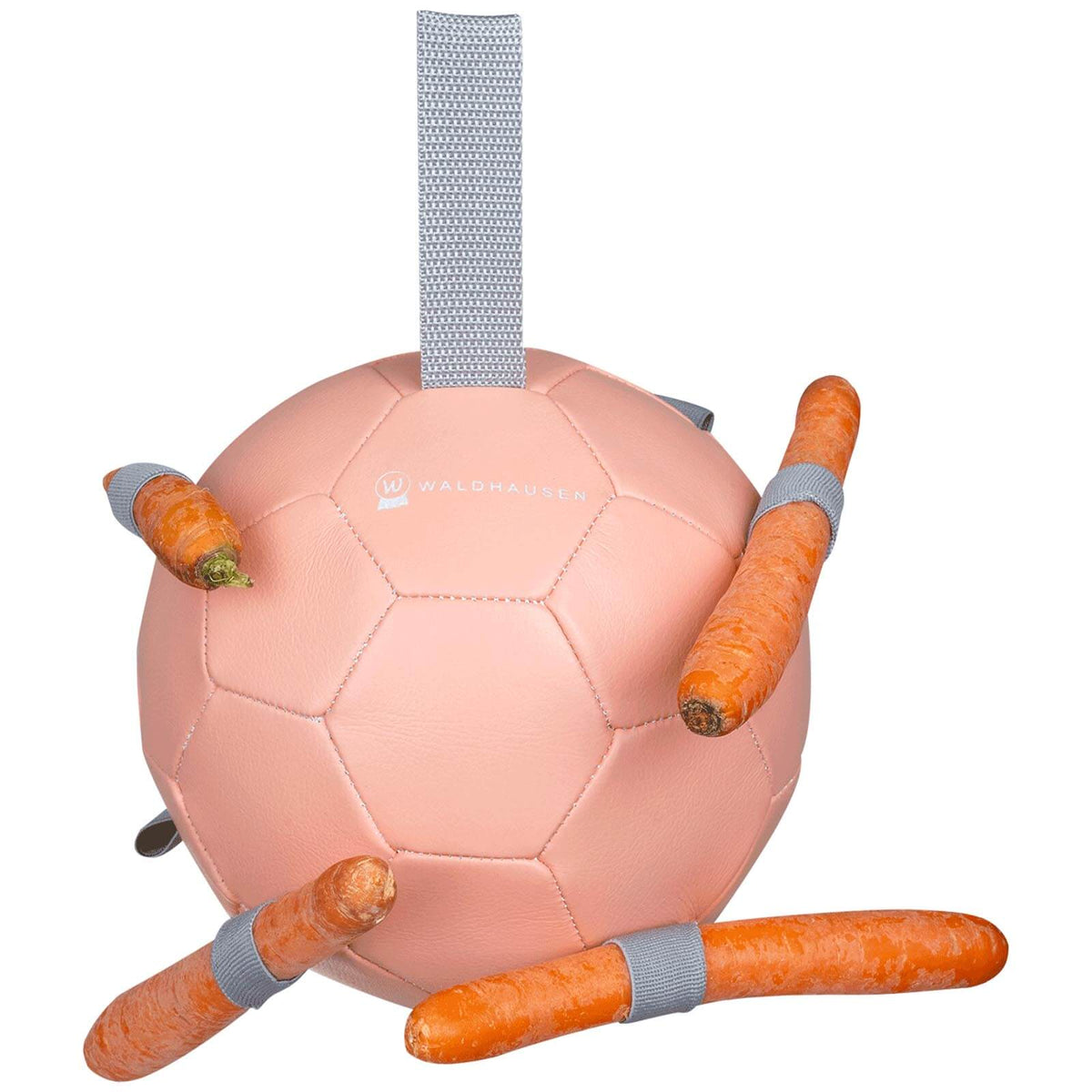 Karottenball Spielball