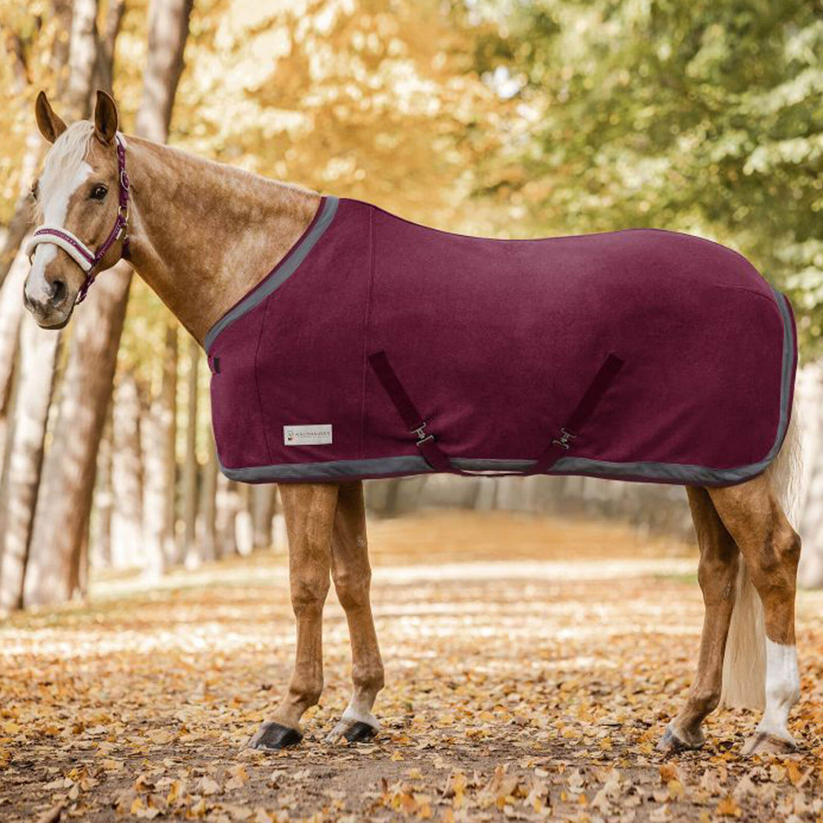 Abschwitzdecke Comfort Esperia Two Fleecedecke
