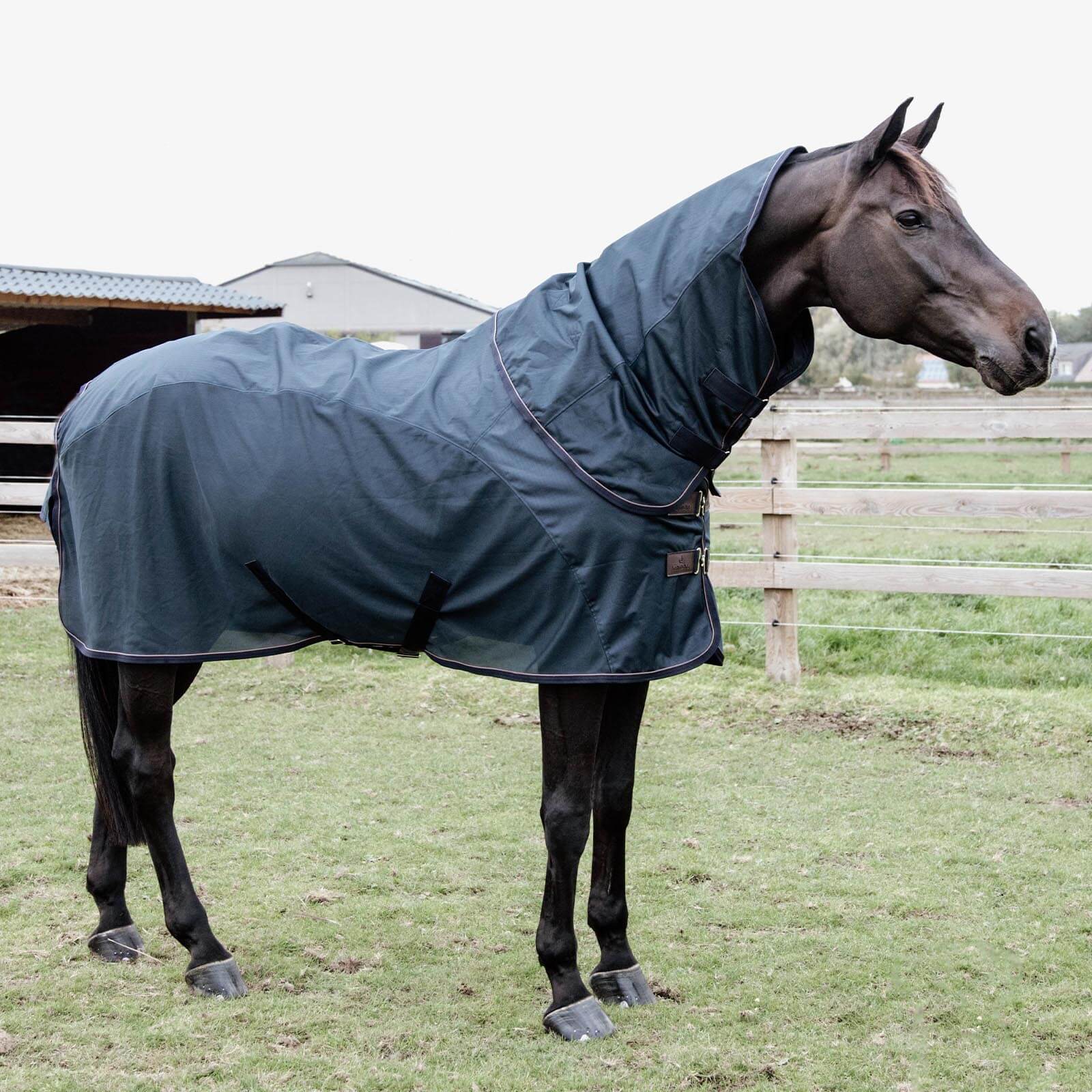 Fliegendecke Regendecke Waterproof Combo Classic