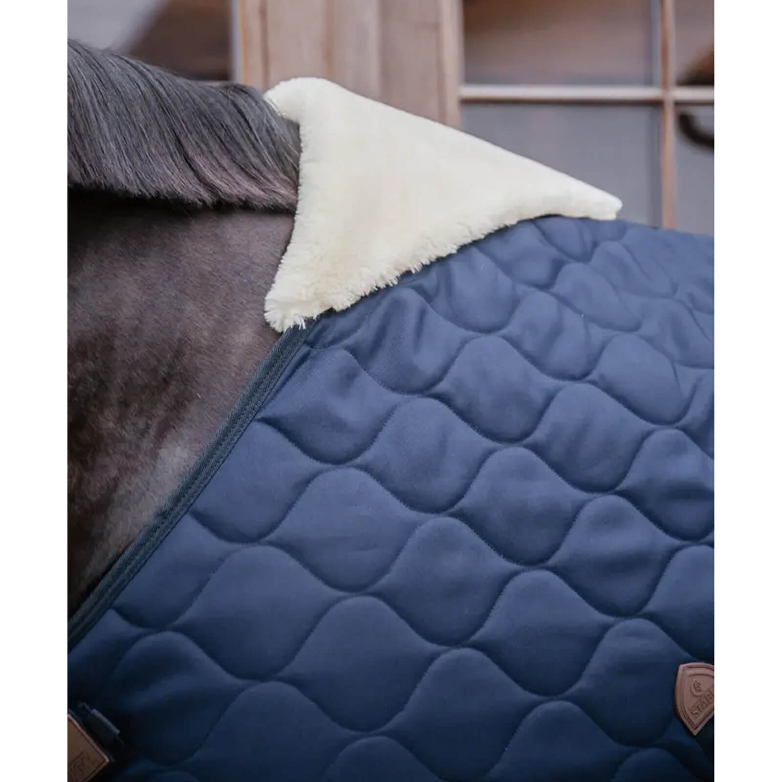 Stalldecke 100g Comfort Winterdecke