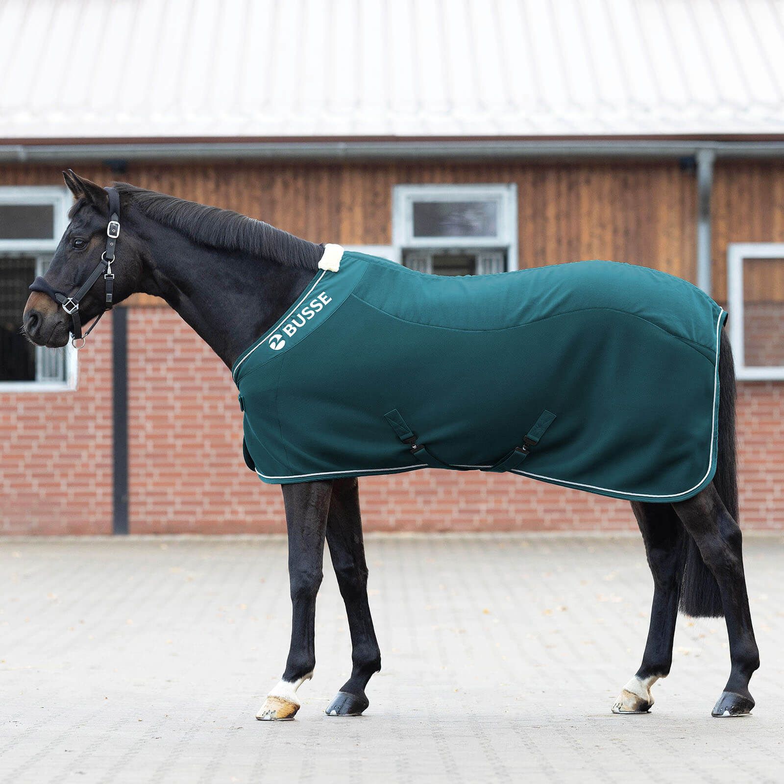 Abschwitzdecke 3D Air Fleece Premium
