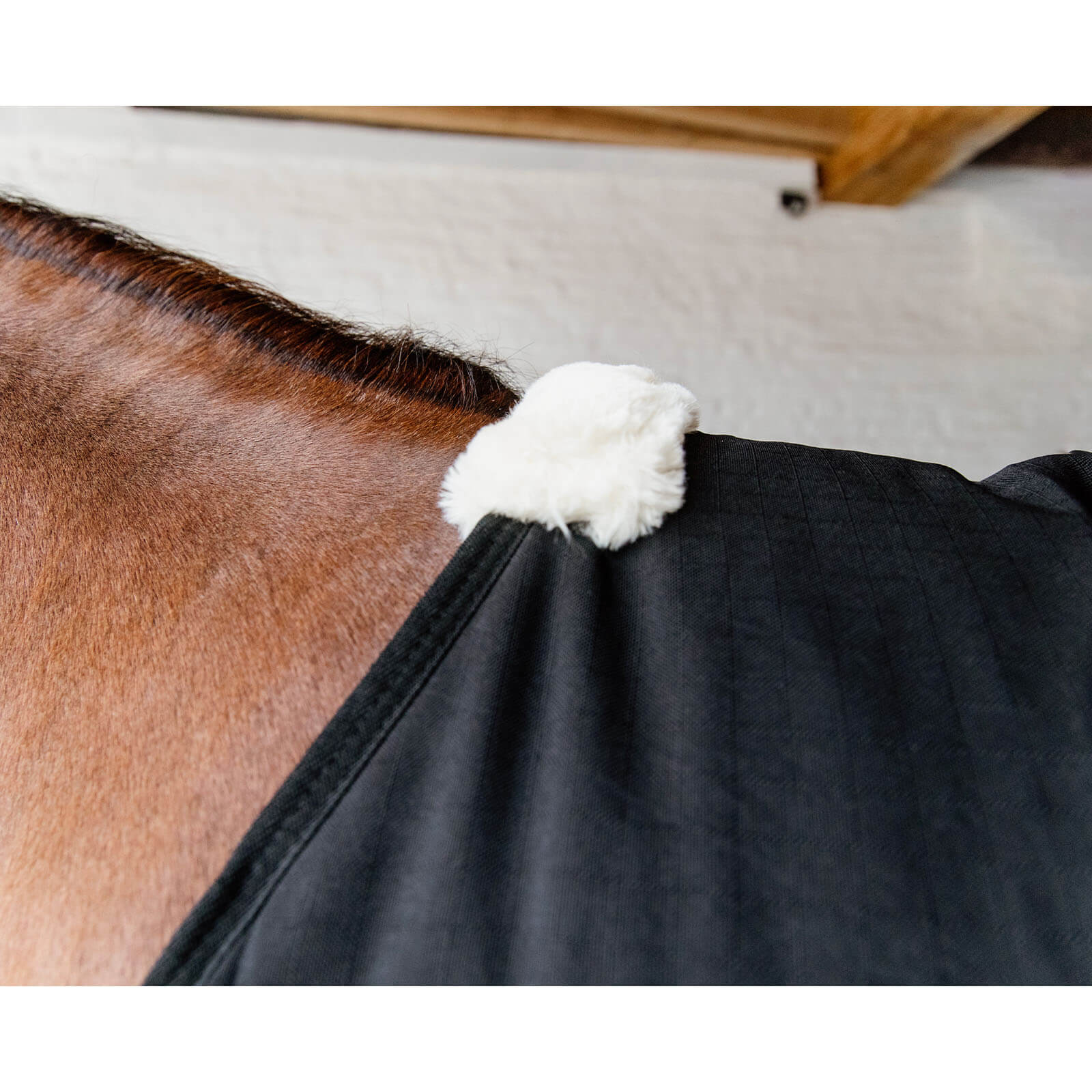 Stalldecke 300g Classic Winterdecke