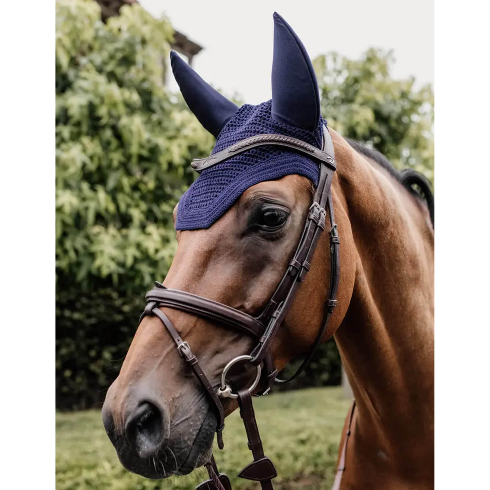 Fliegenmütze Fly veil Wellington Fliegenhaube Fliegenohren