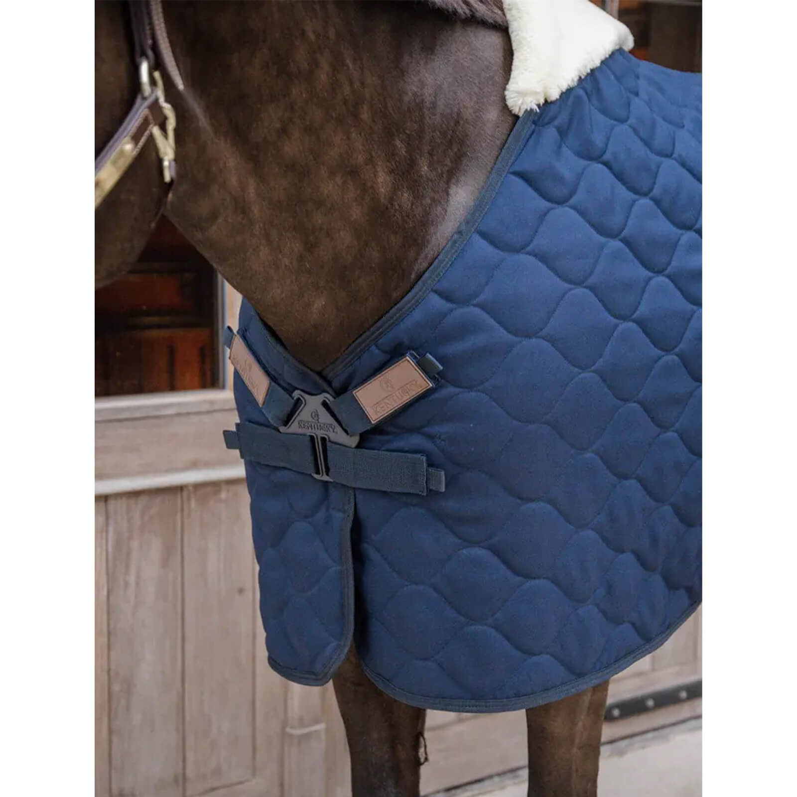 Stalldecke 300g Comfort Winterdecke
