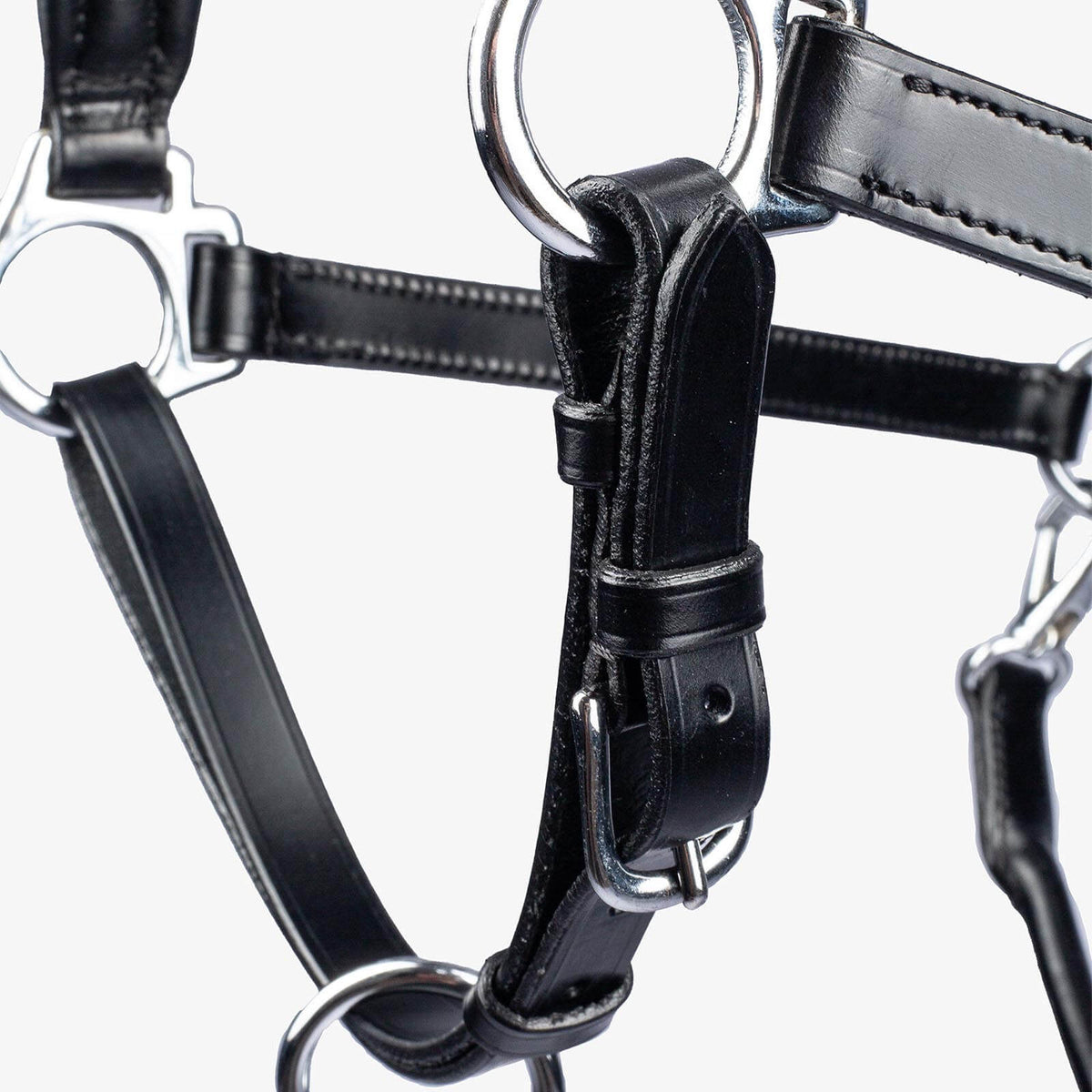 Halfter Leather Lederhalfter, Schwarz, Detailaufnahme des Halfters.