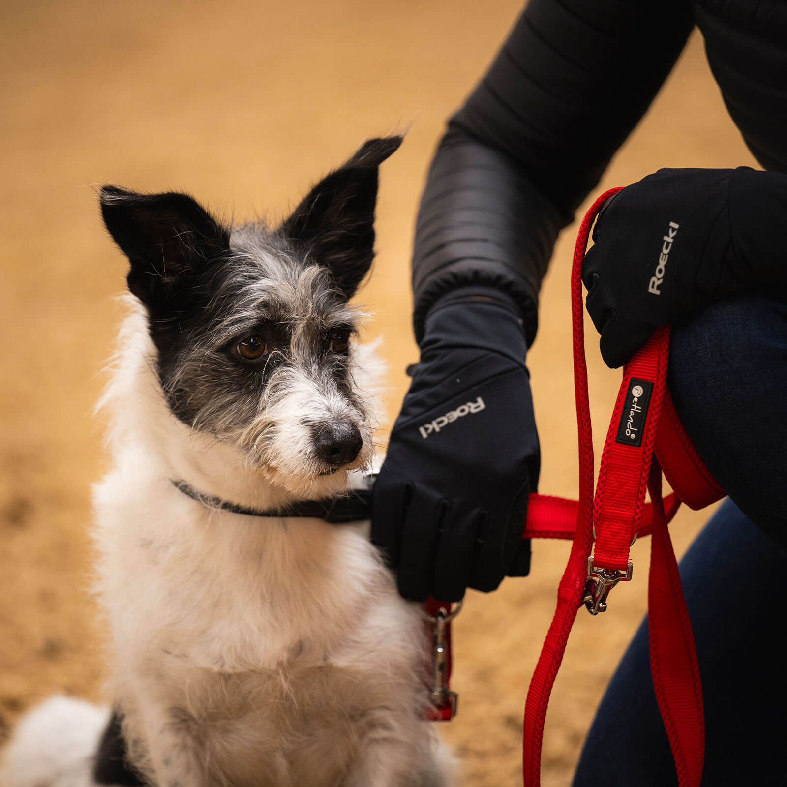 Winterhandschuh Unisex Nordheim Dog-Walker Winter Stallhandschuh