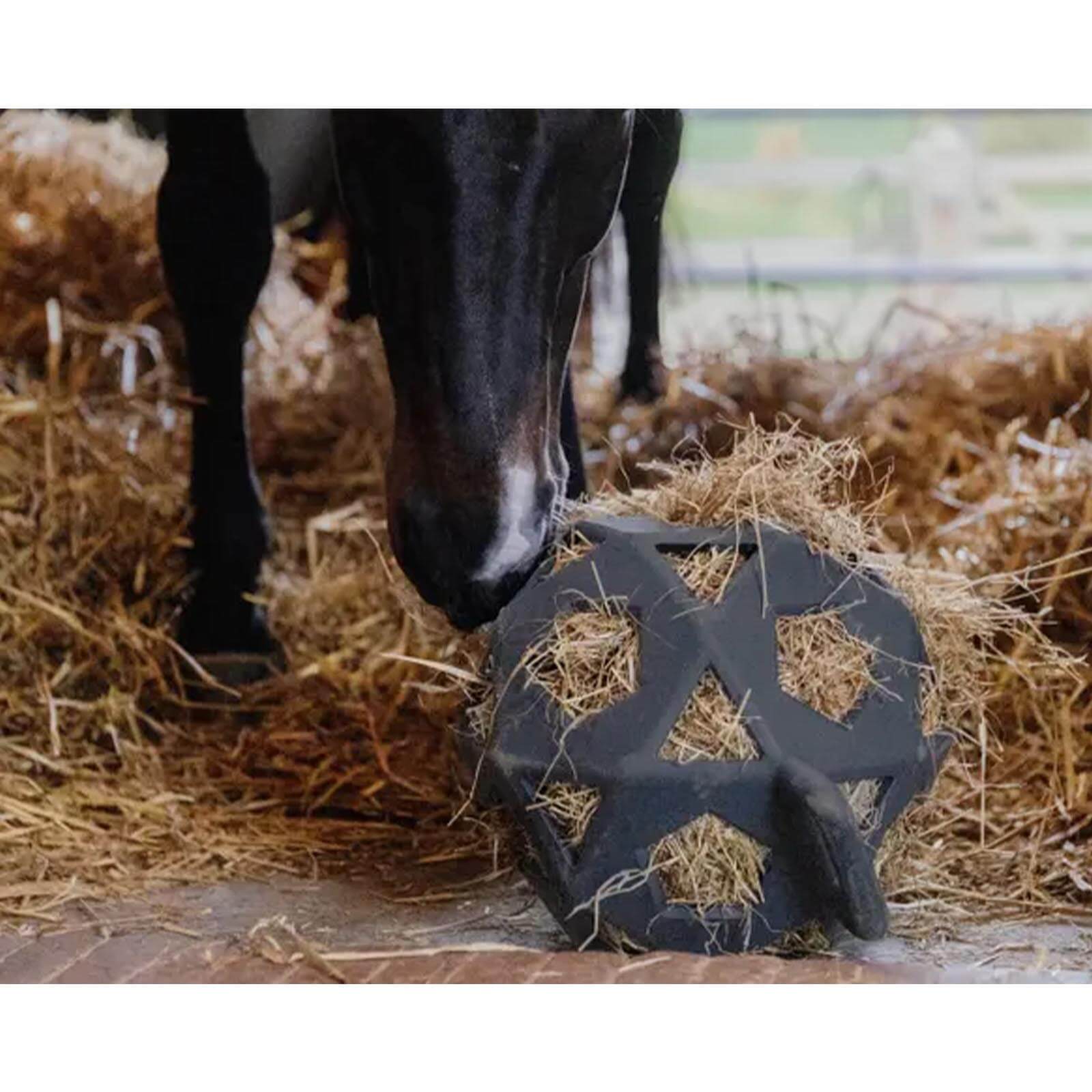 Futterball Spielzeug Relax Horse Spielball & Heuball