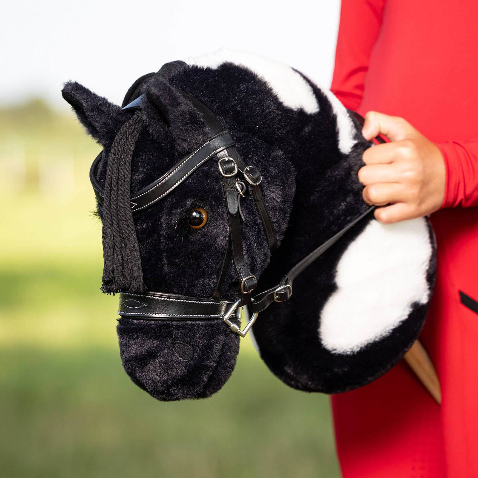 Hobby Horse Steckenpferd