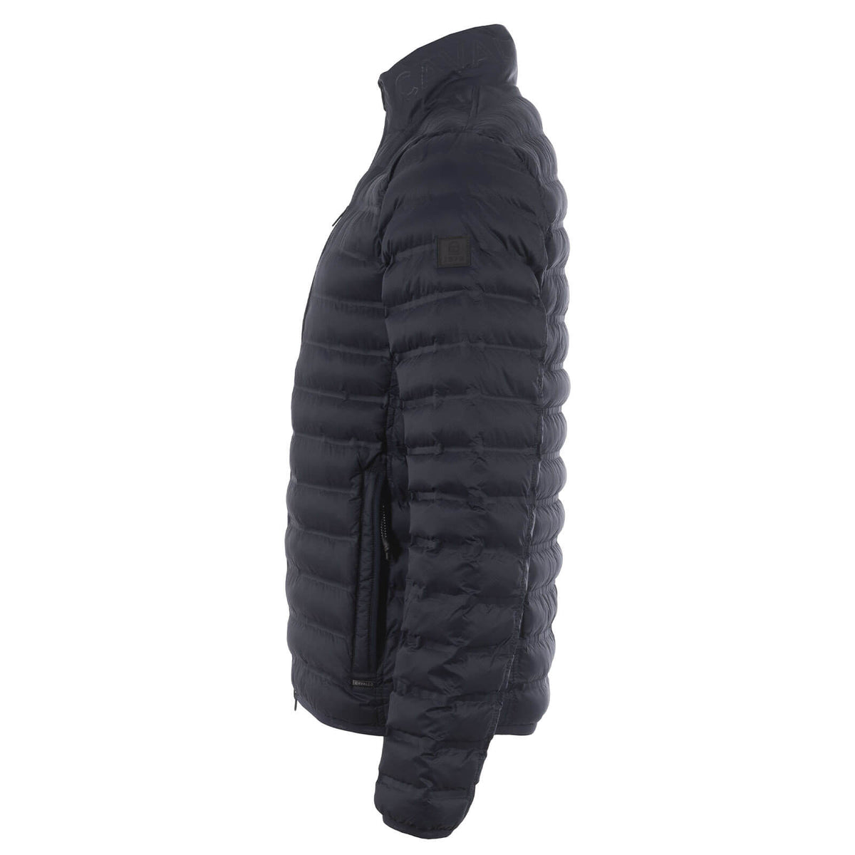 Cavallo Steppjacke Herren Cavalhollow Jacke, Schwarz, Produkt allein in Seitenansicht.