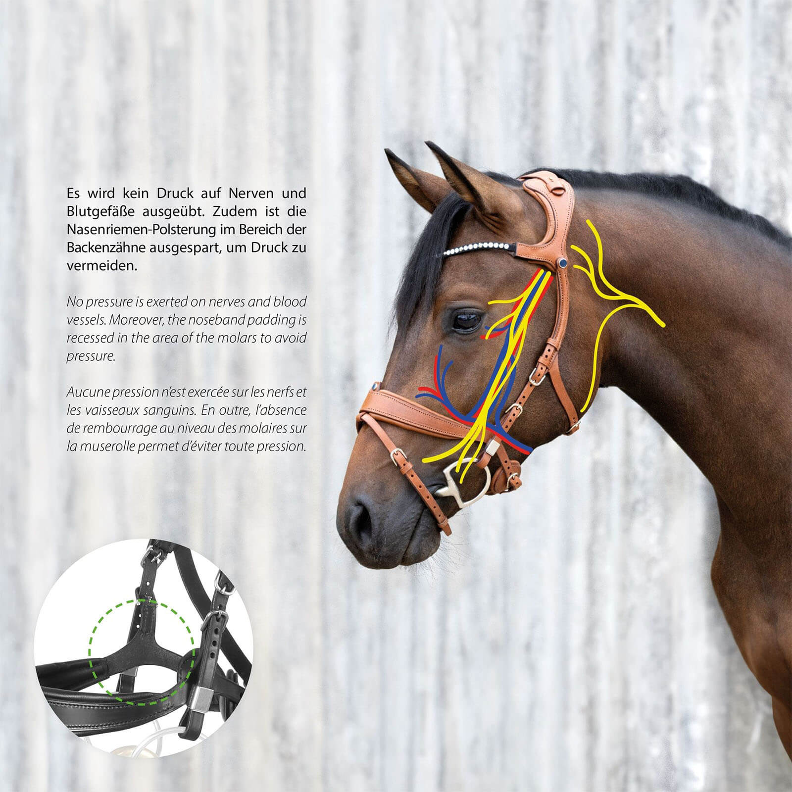 Trensenzaum Freedom II mit Slide&Lock
