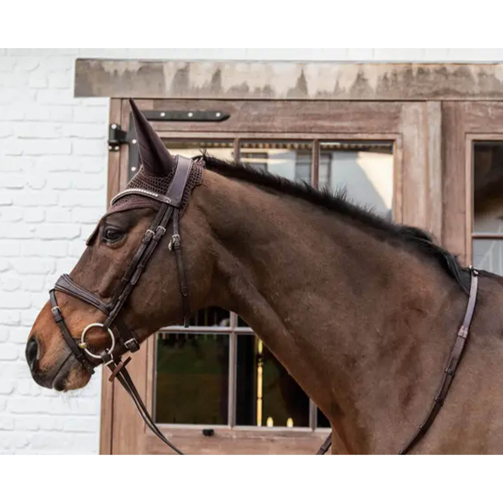 Fliegenmütze Fly veil Wellington Fliegenhaube Fliegenohren