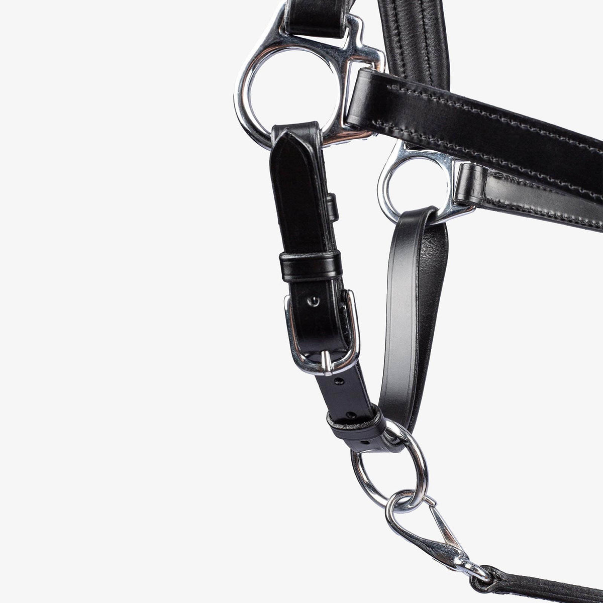 PS of Sweden Halfter Leather Lederhalfter, Schwarz, Detailaufnahme mit Beschlägen.