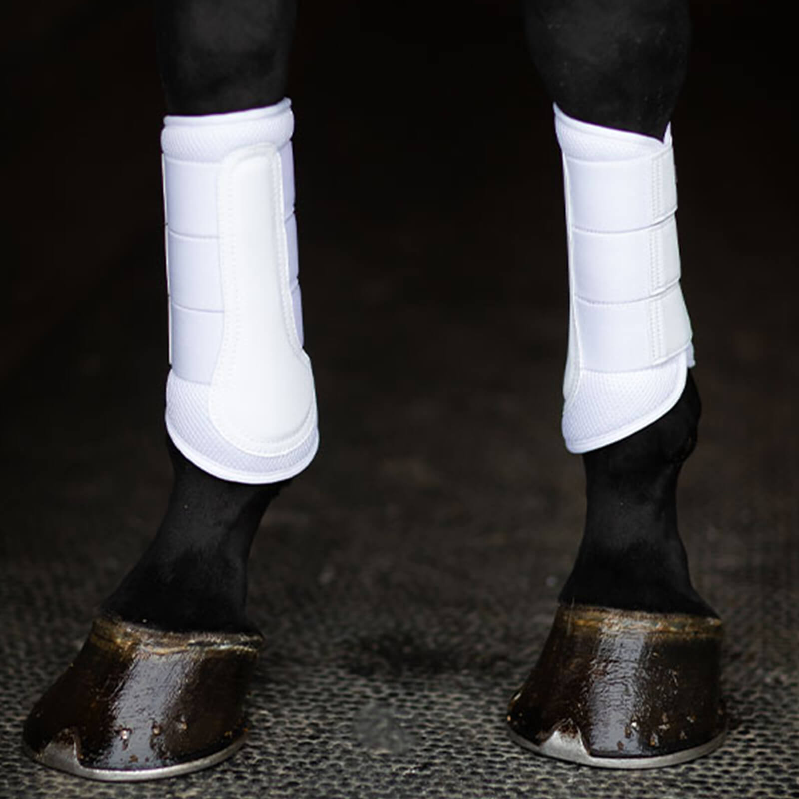Gamaschen Classic Mesh Boots White Gold Dressurgamaschen