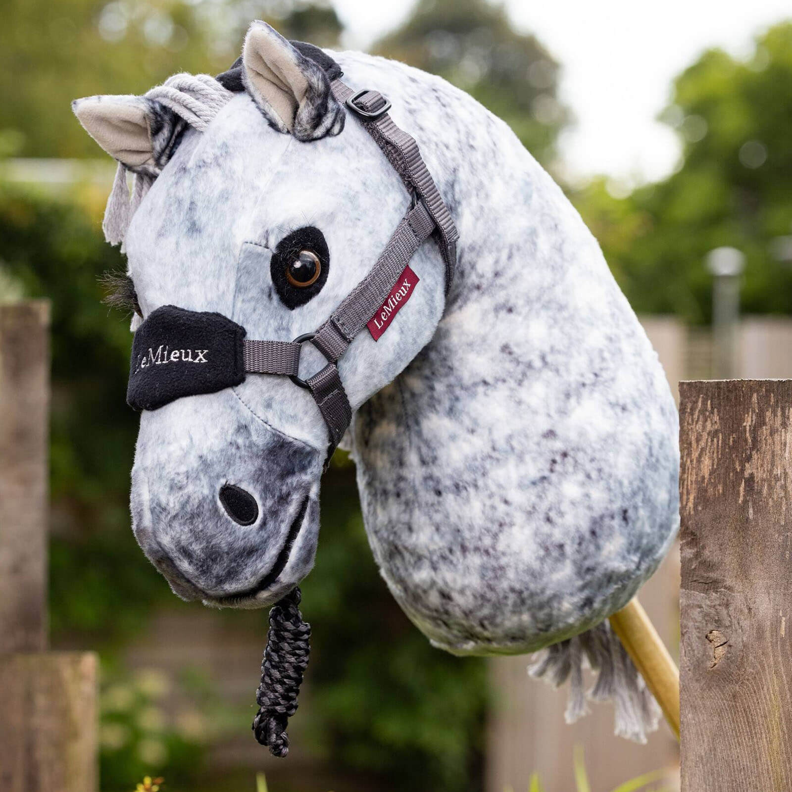 Hobby Horse Steckenpferd