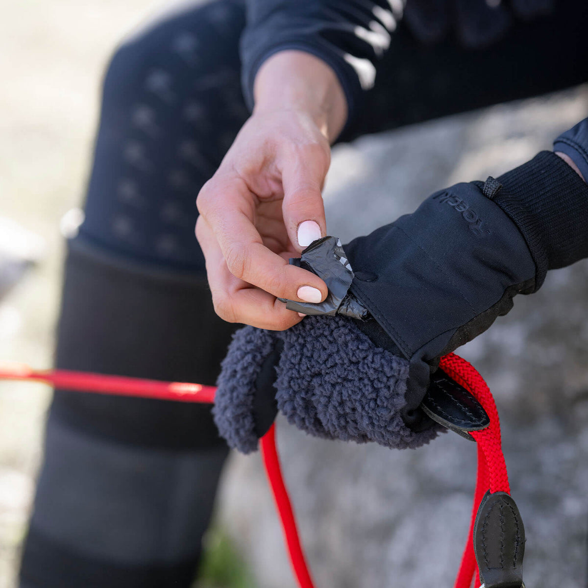 Roeckl Winterreithandschuh Unisex Dog-Walker Neuberg Winter Stallhandschuh, Schwarz, Detailaufnahme am Hund.