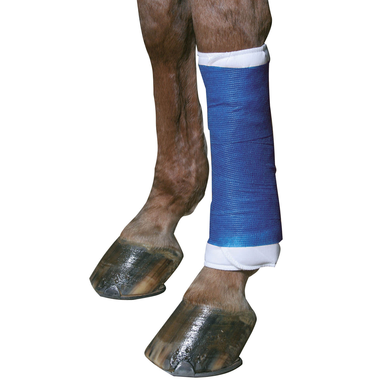 Bandage Selbsthaftend EquiLastic Beinschutz