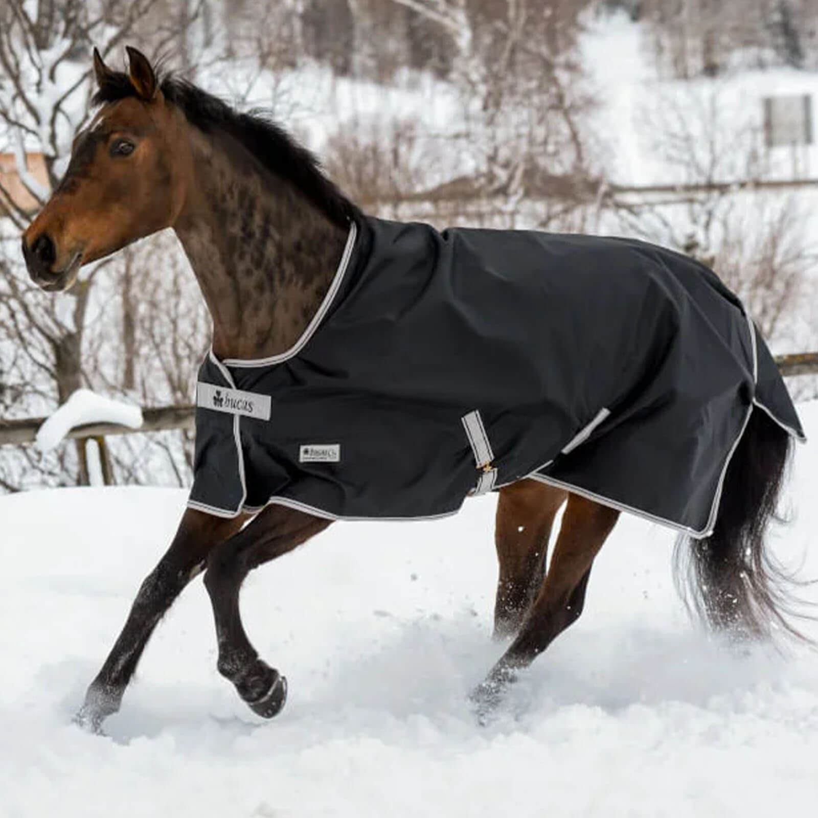 Outdoordecke 50g Anniversary Turnout Weidedecke