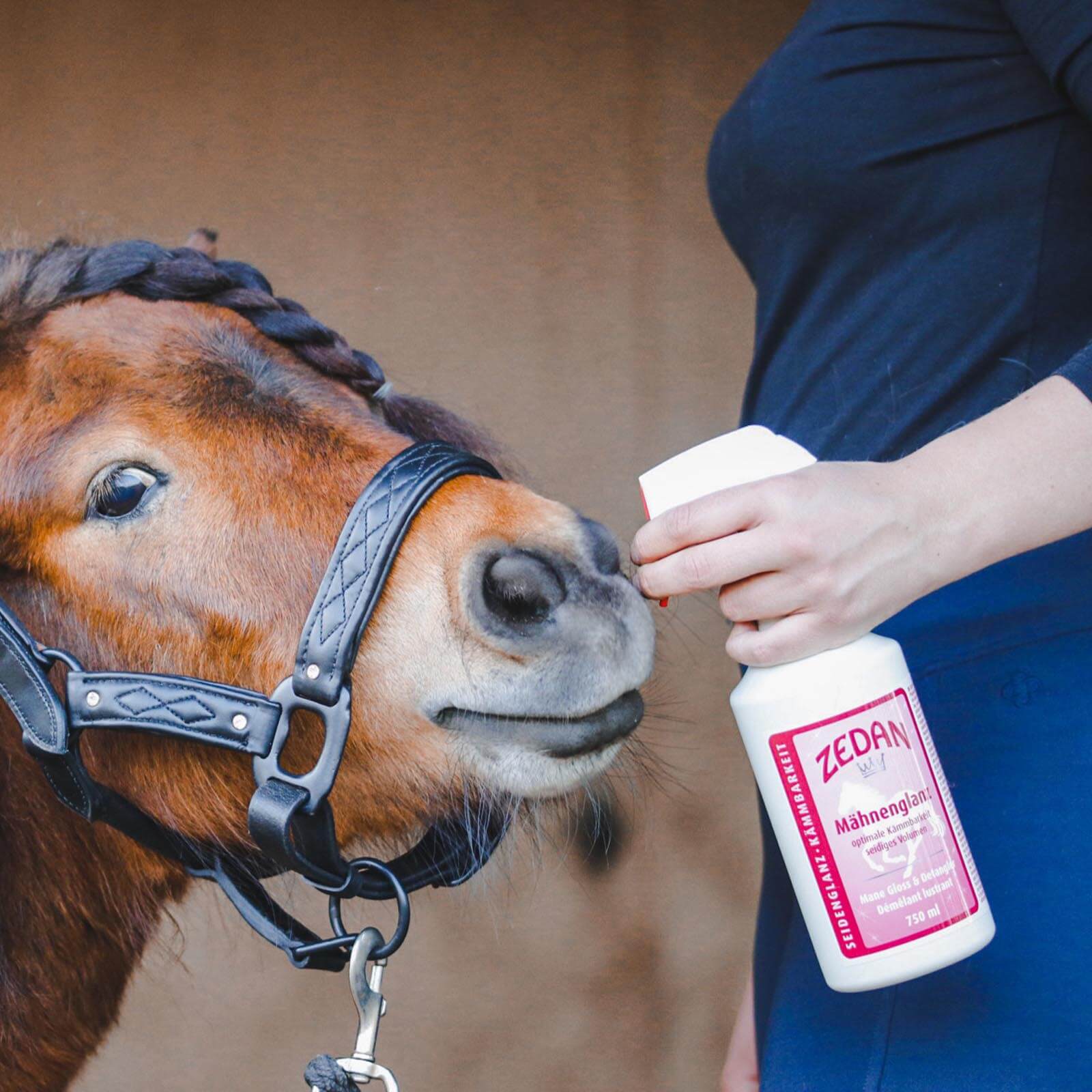 Glanzspray Mähnenglanz Mähnenspray