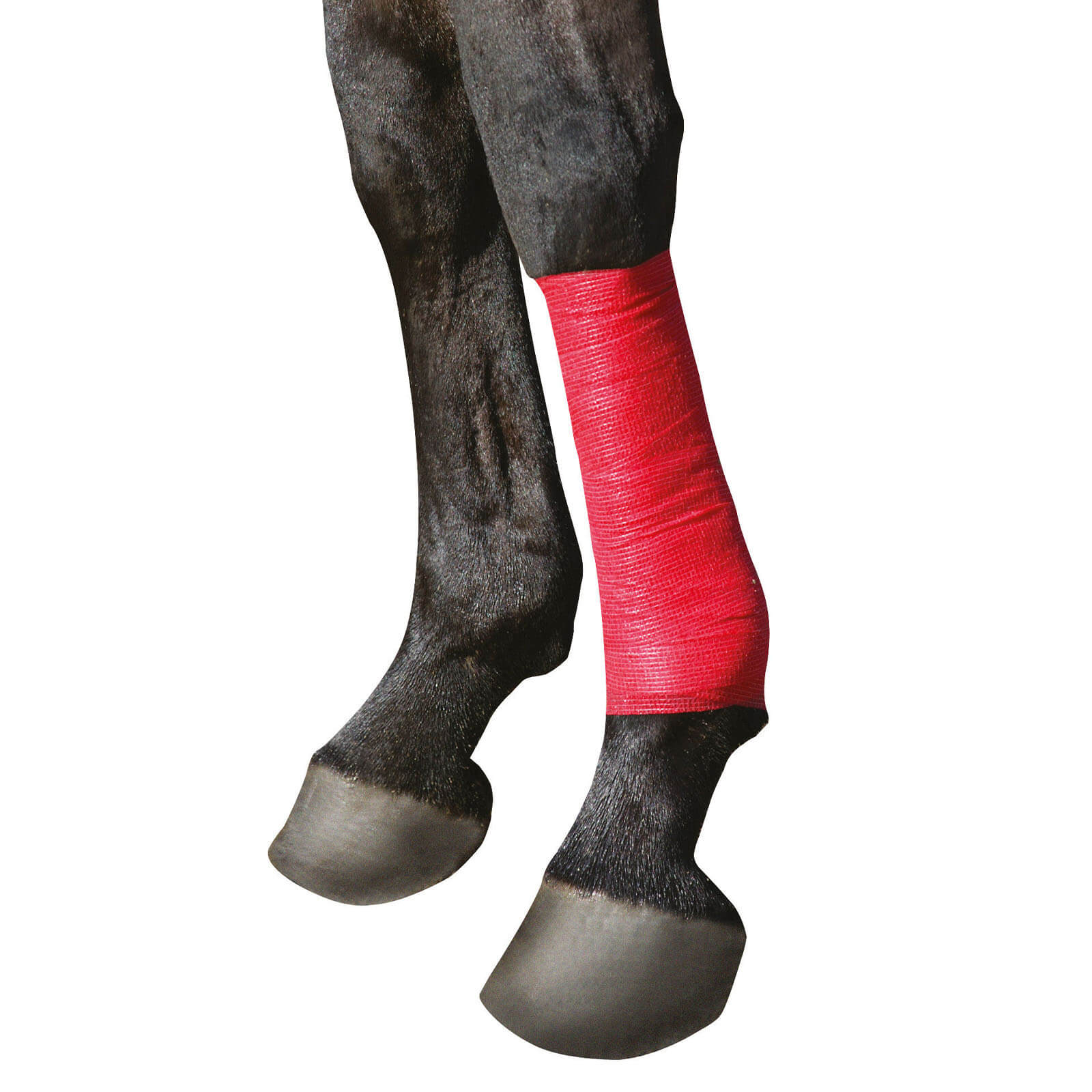 Bandage Selbsthaftend EquiLastic Beinschutz