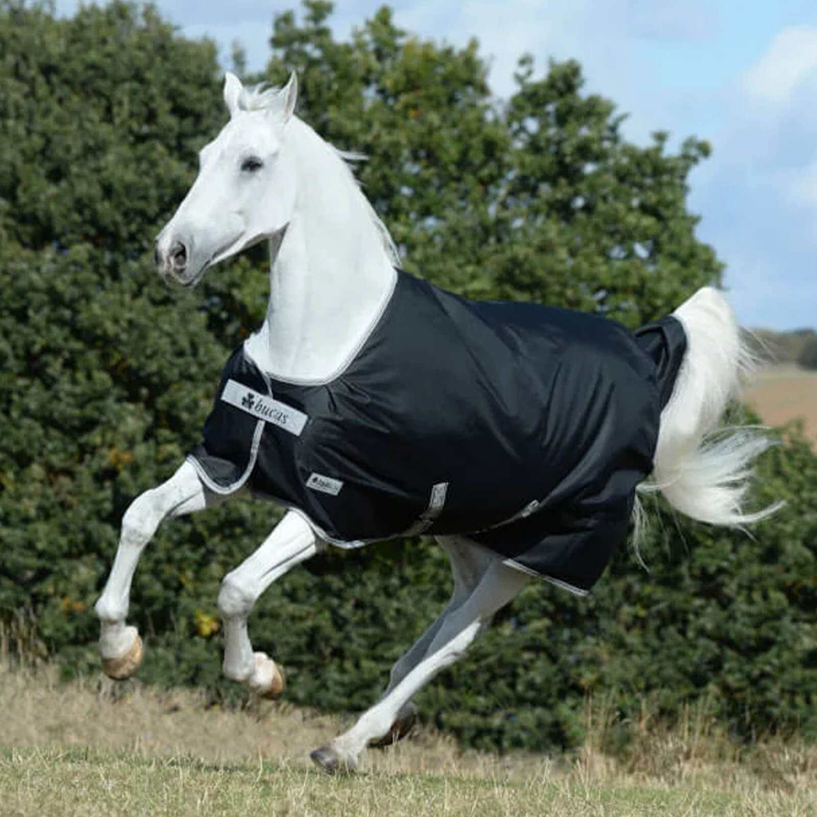 Outdoordecke 50g Anniversary Turnout Weidedecke